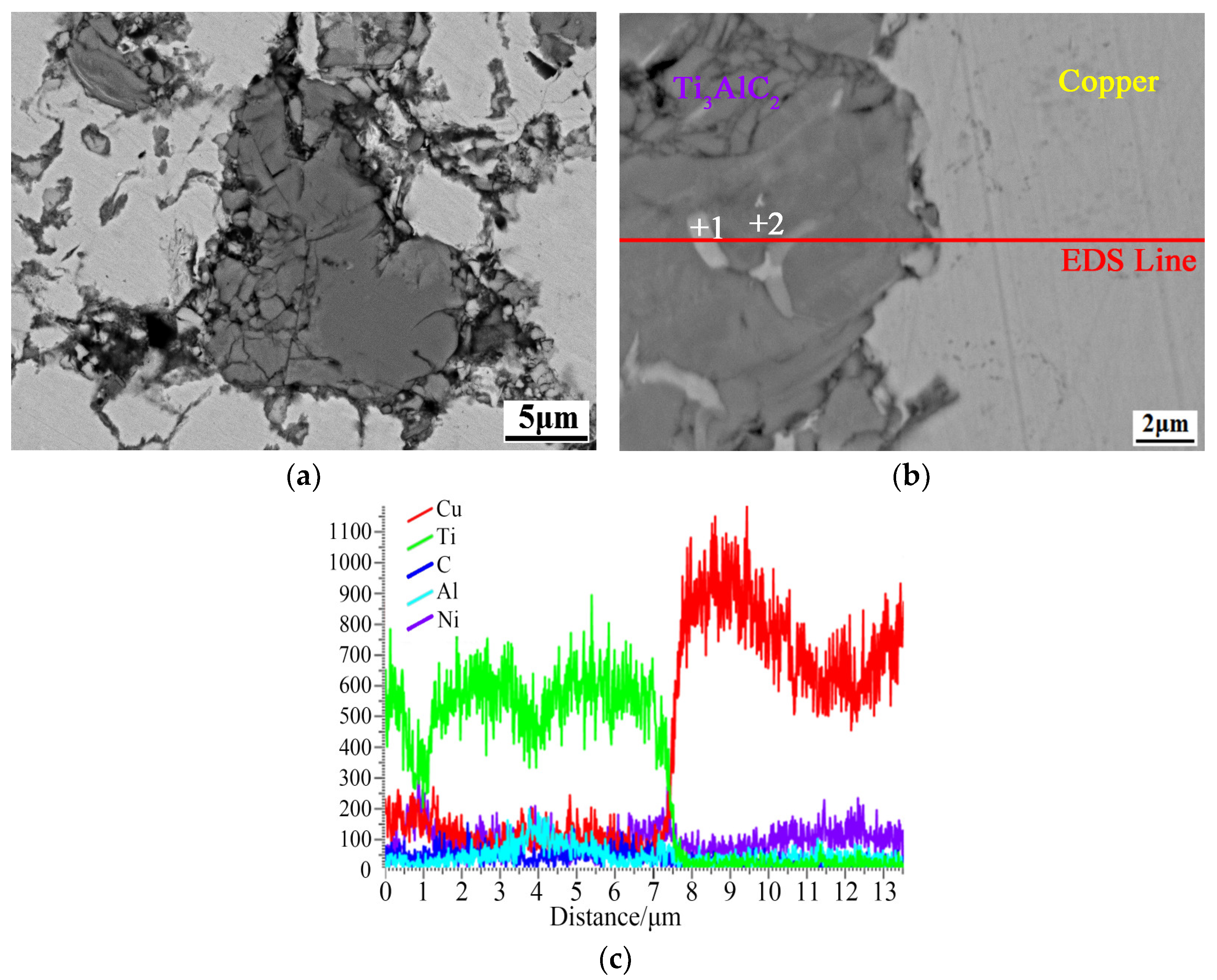 Coatings 13 01414 g009 Coatings 13 01414 g009