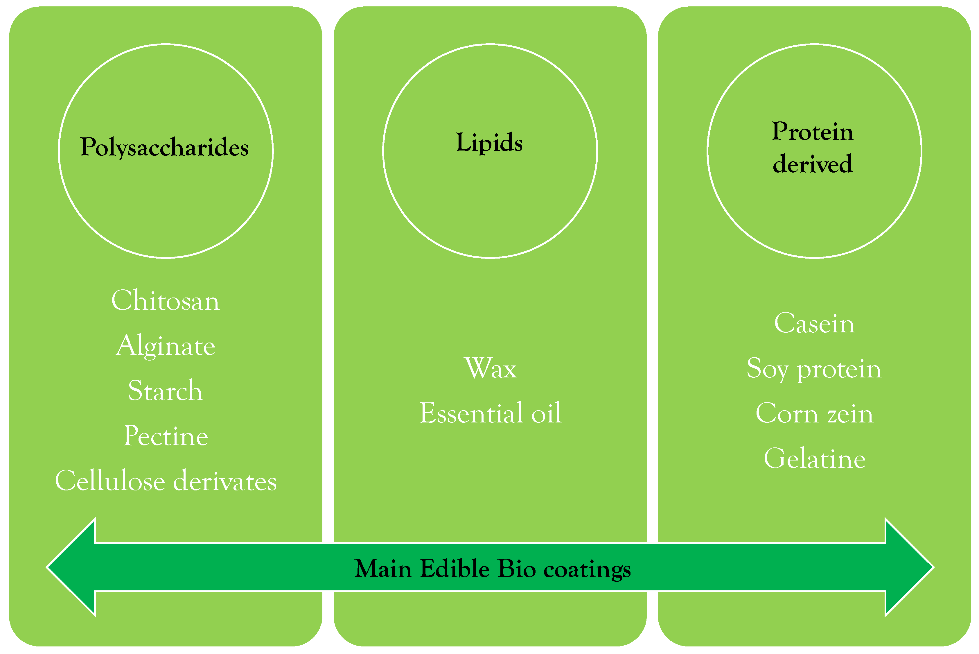 Coatings 13 01420 g004
