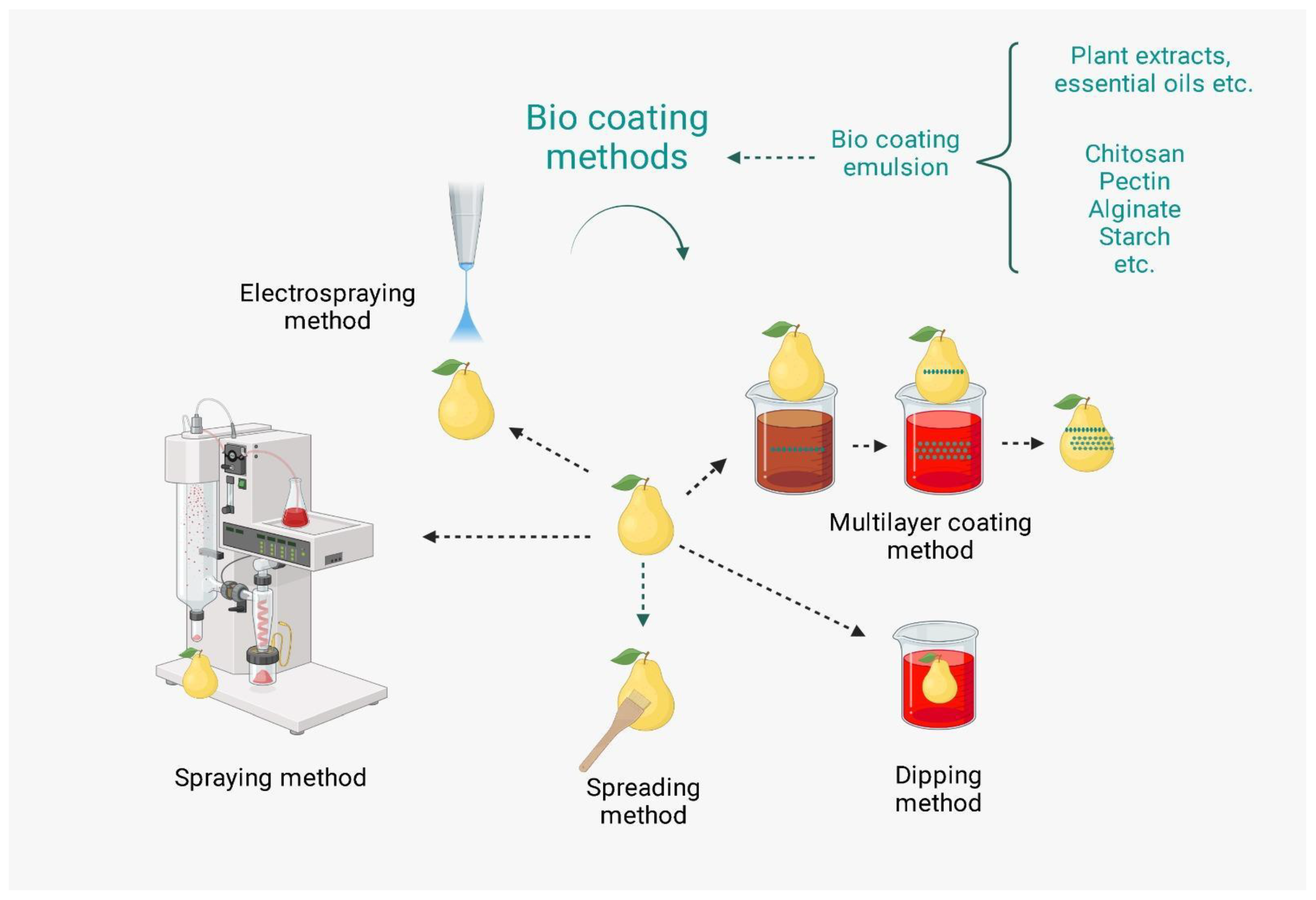Coatings 13 01420 g005