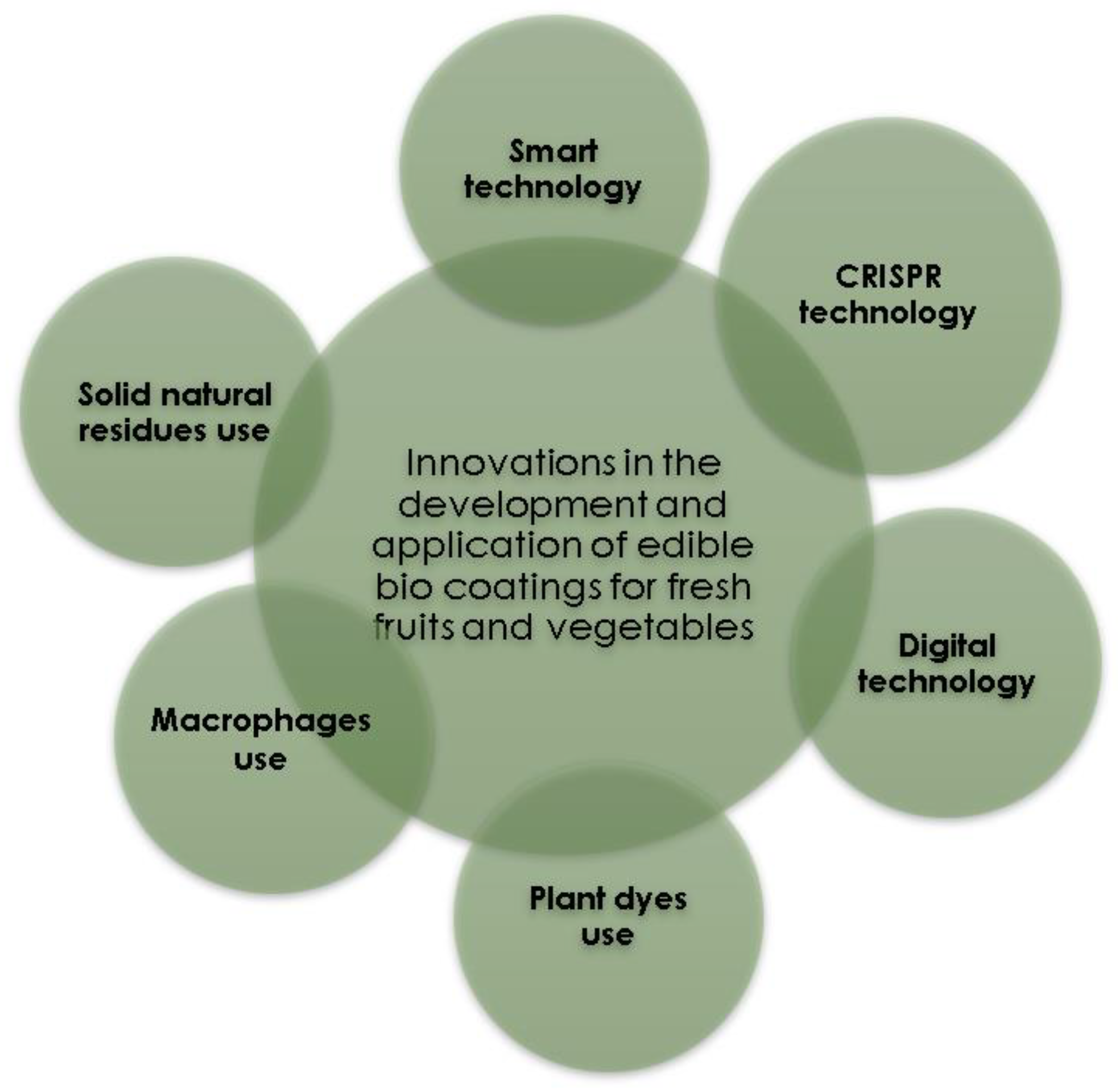 Coatings 13 01420 g006