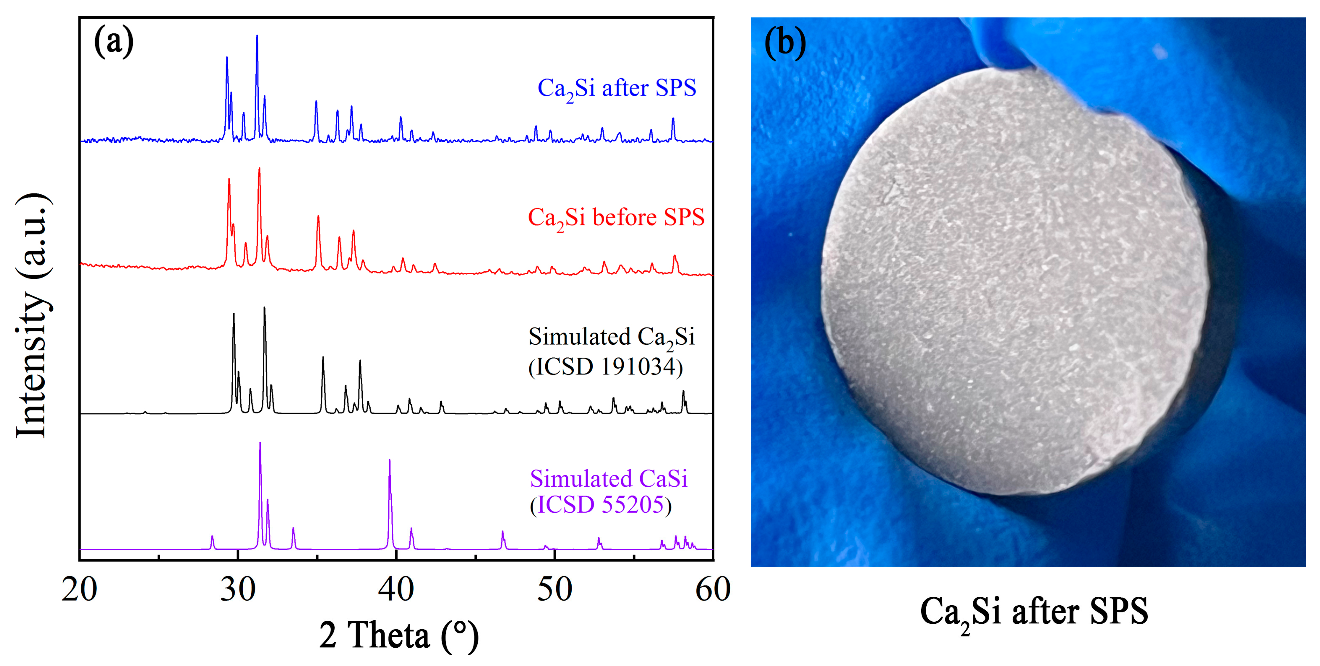 Coatings 13 01426 g001