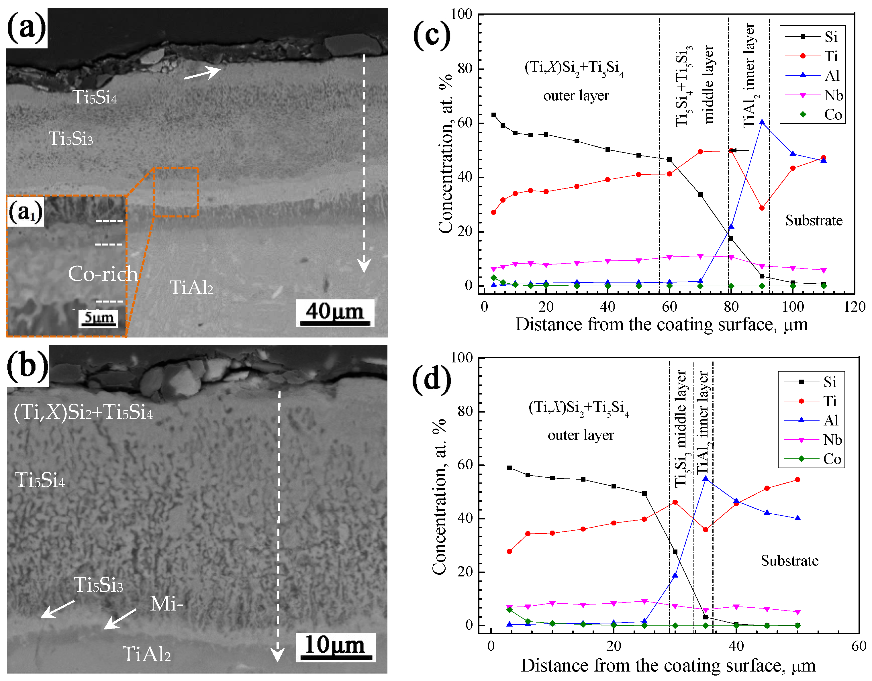 Coatings 13 01427 g004 550