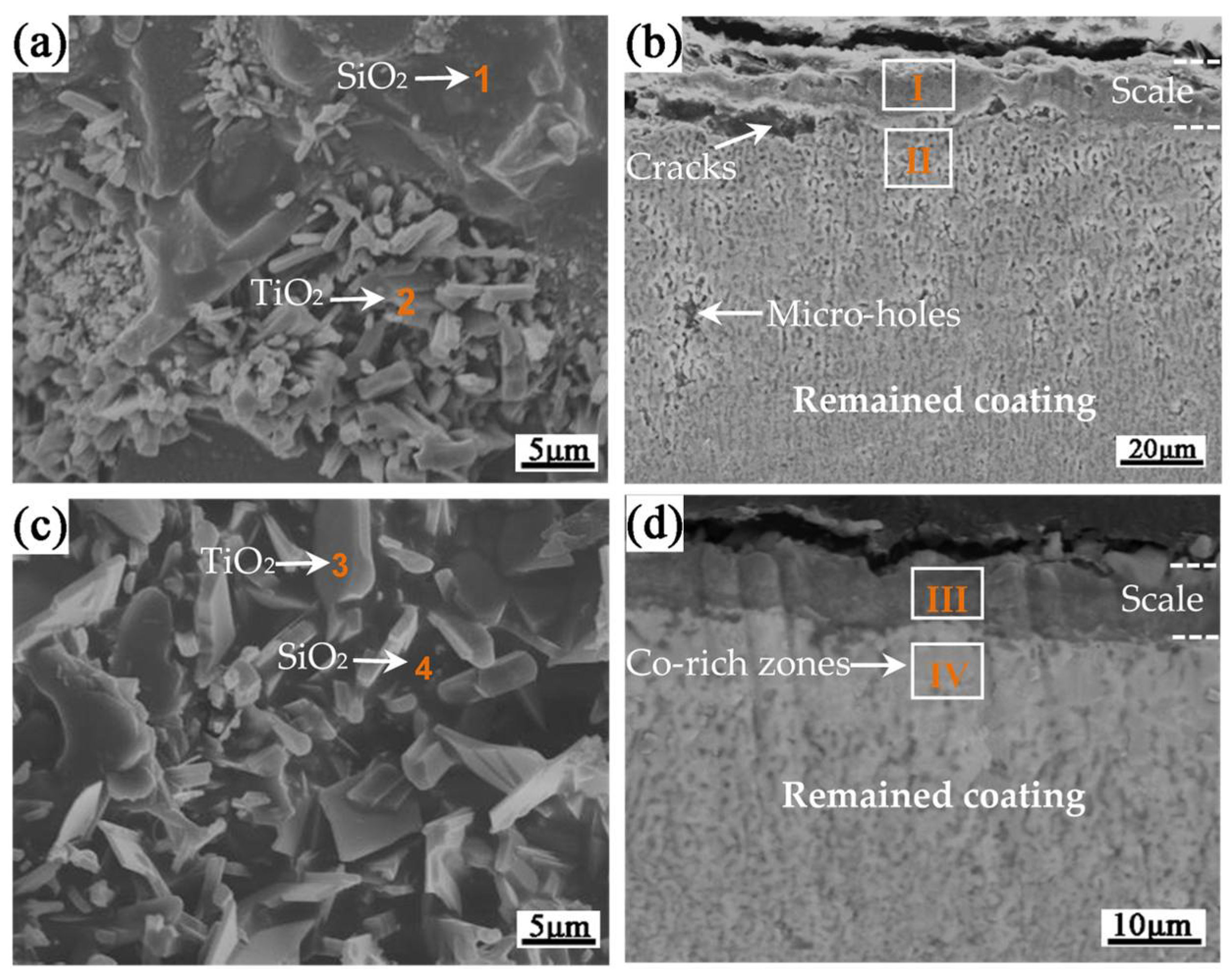 Coatings 13 01427 g007 550