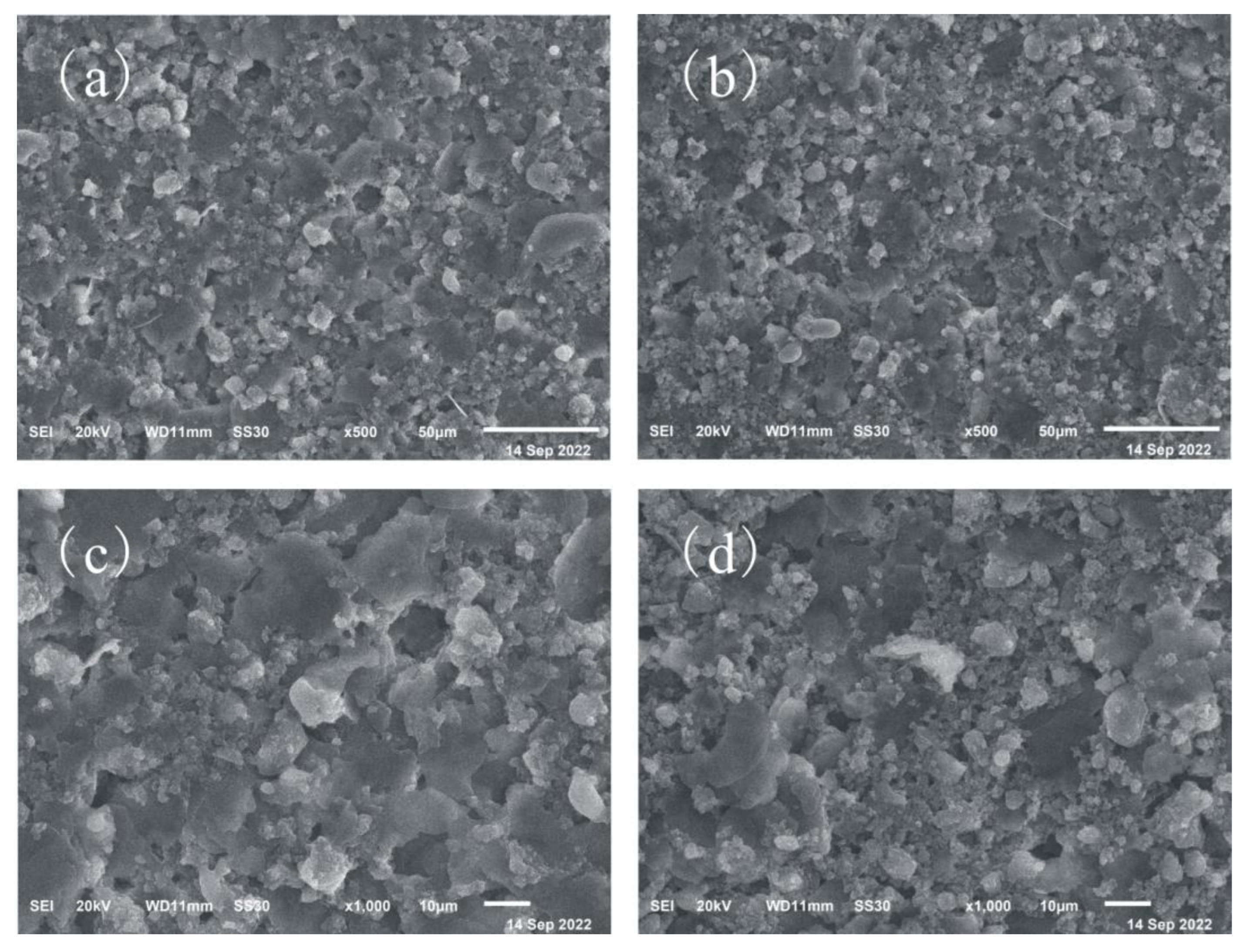 Coatings 13 01428 g004 Coatings 13 01428 g004