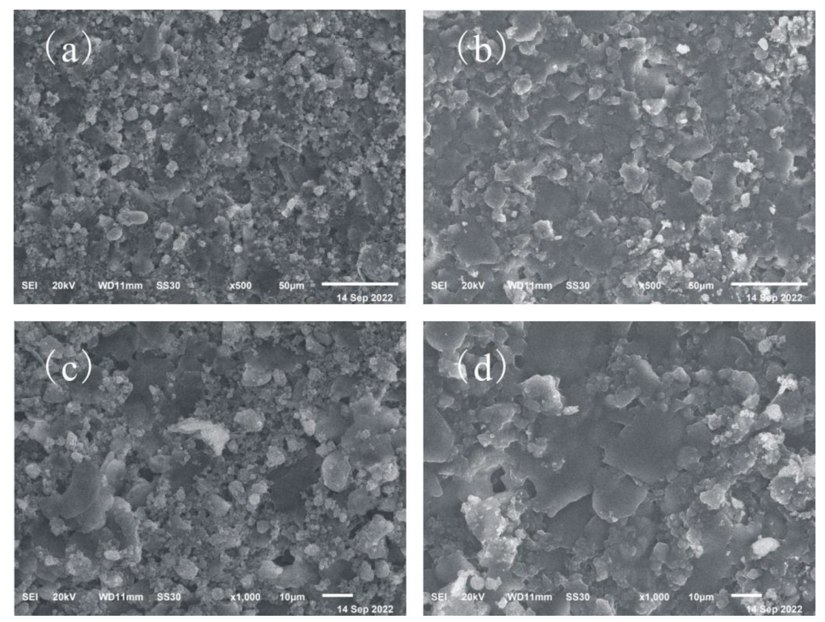 Coatings 13 01428 g006 Coatings 13 01428 g006
