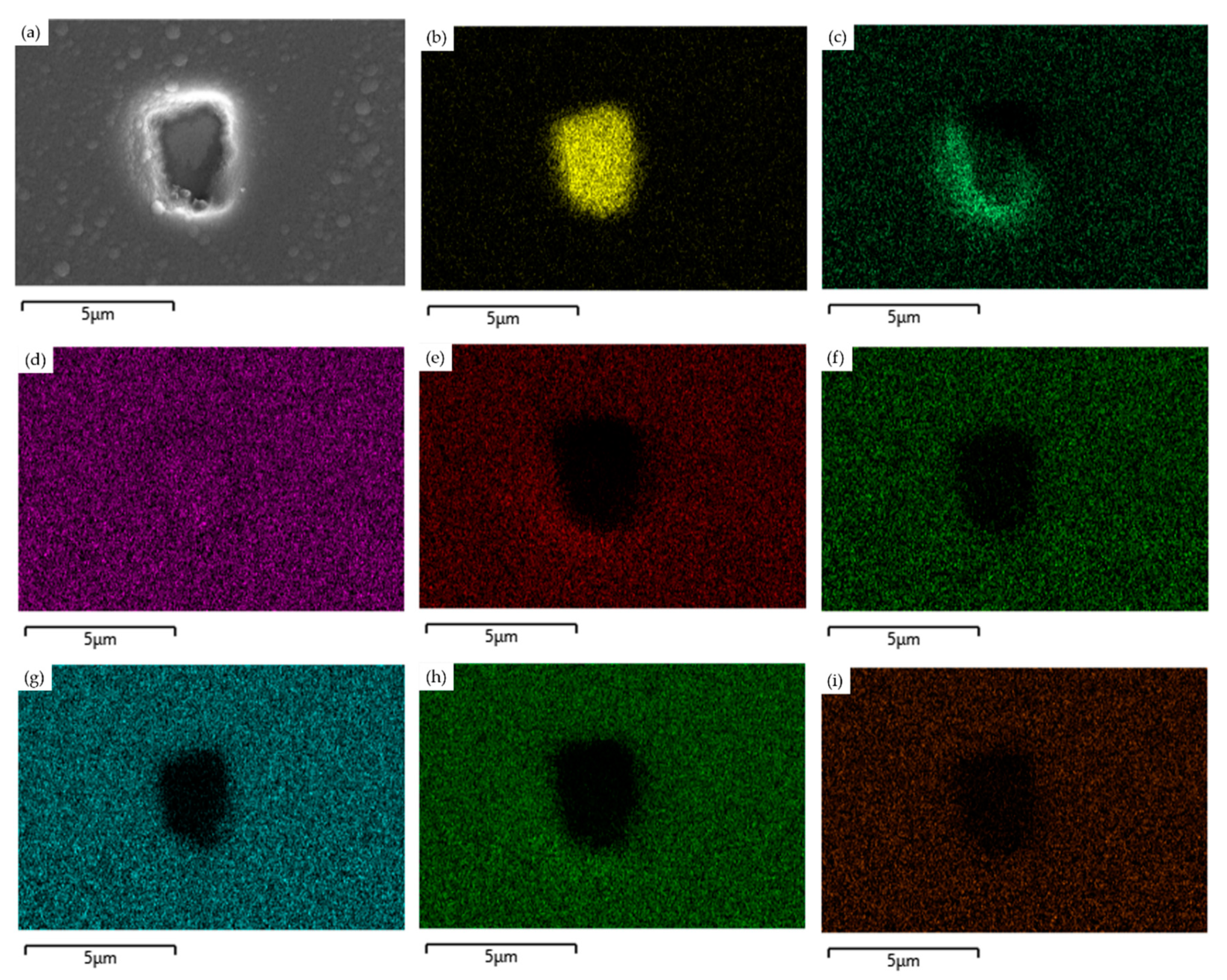 Coatings 13 01431 g009