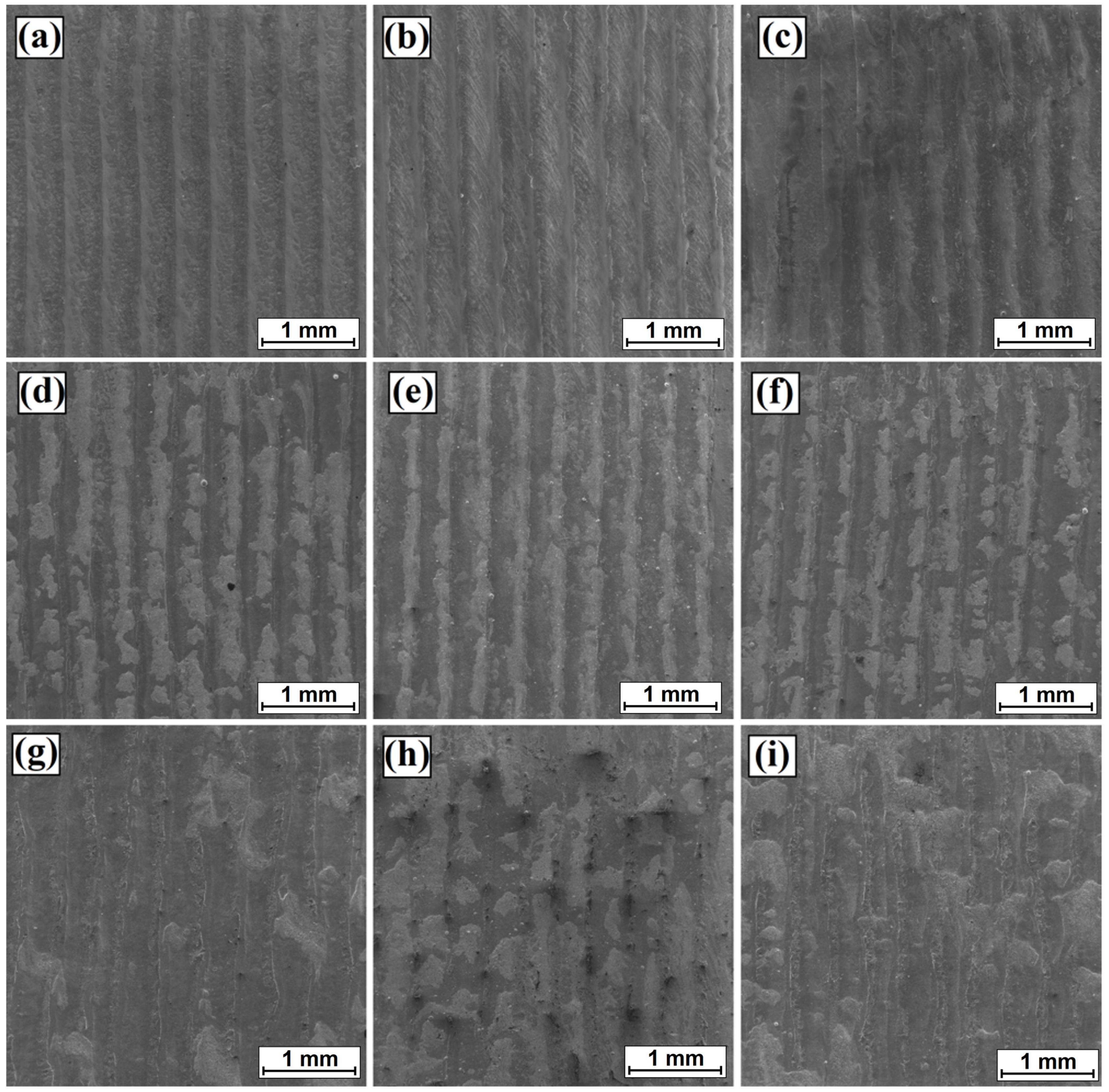 Coatings 13 01432 g003 Coatings 13 01432 g003