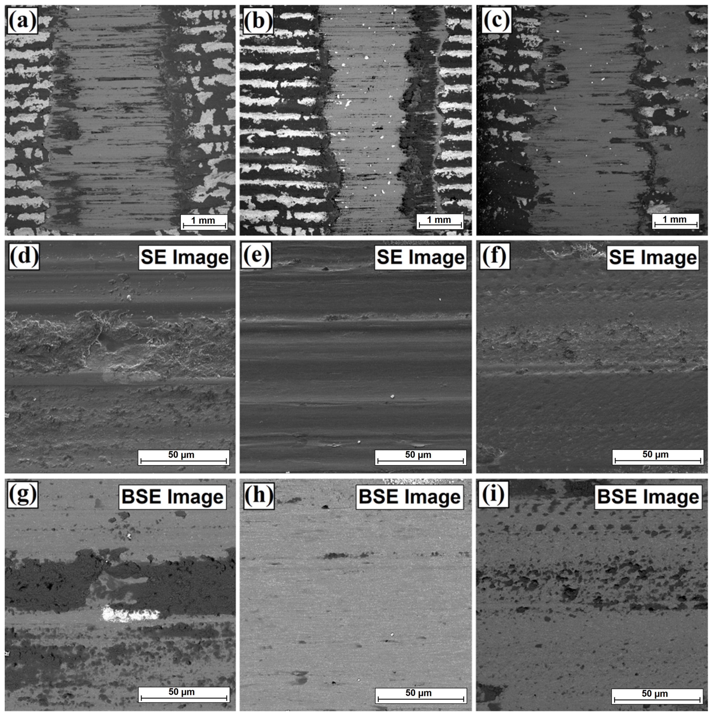 Coatings 13 01432 g014 Coatings 13 01432 g014