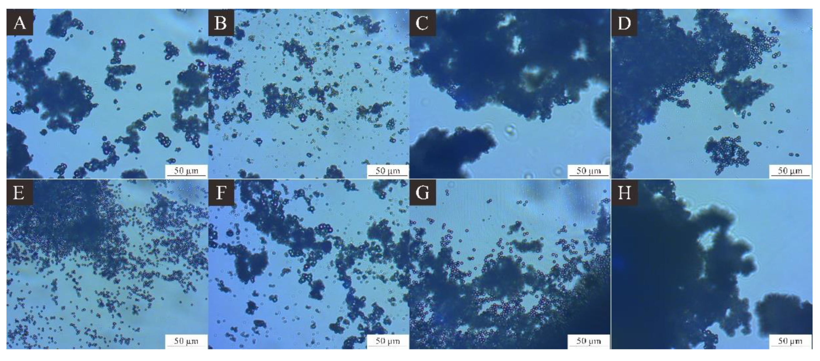 Coatings 13 01433 g004 Coatings 13 01433 g004