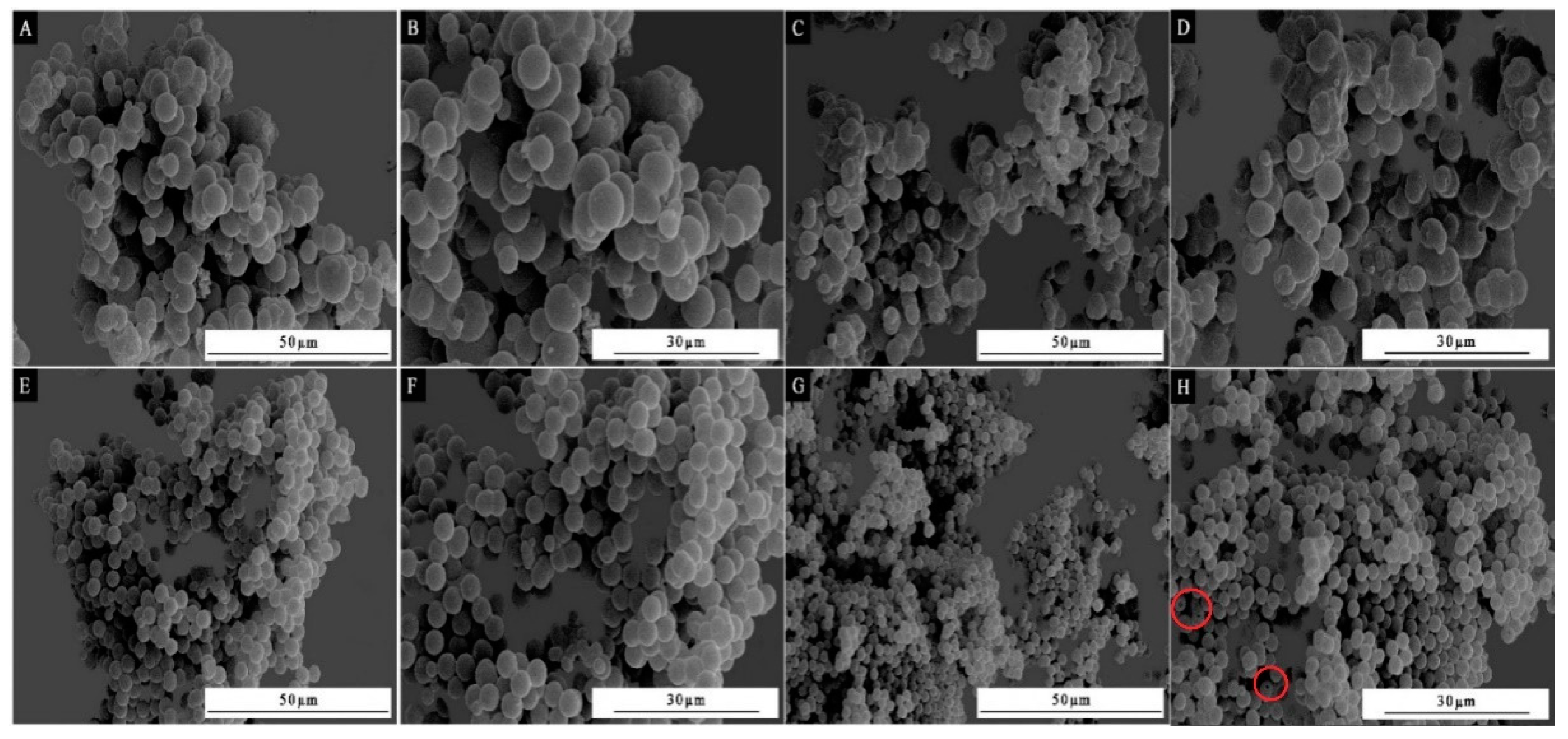 Coatings 13 01433 g005 Coatings 13 01433 g005