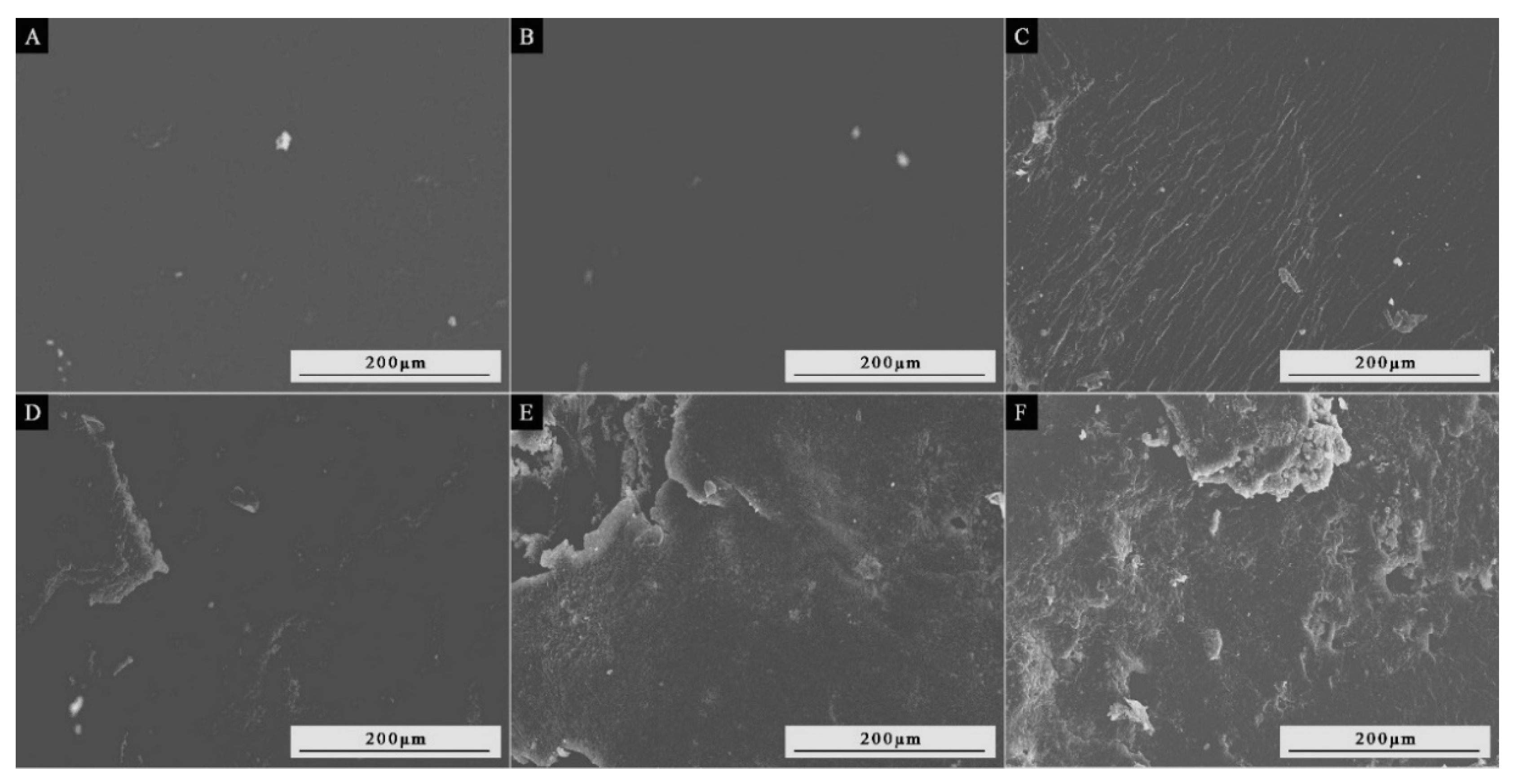 Coatings 13 01433 g014 Coatings 13 01433 g014