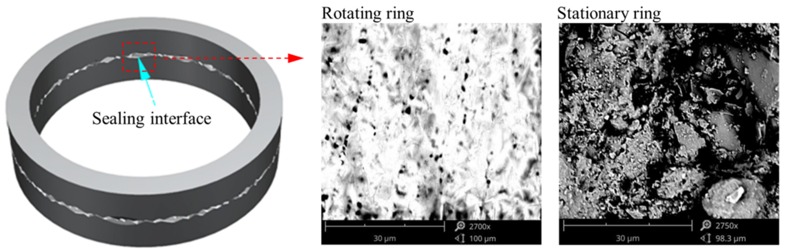 Coatings 13 01435 g001