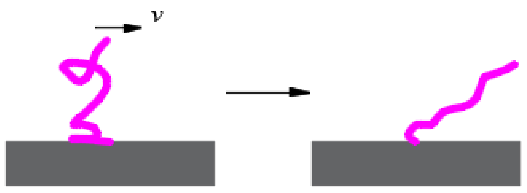 Coatings 13 01435 g007