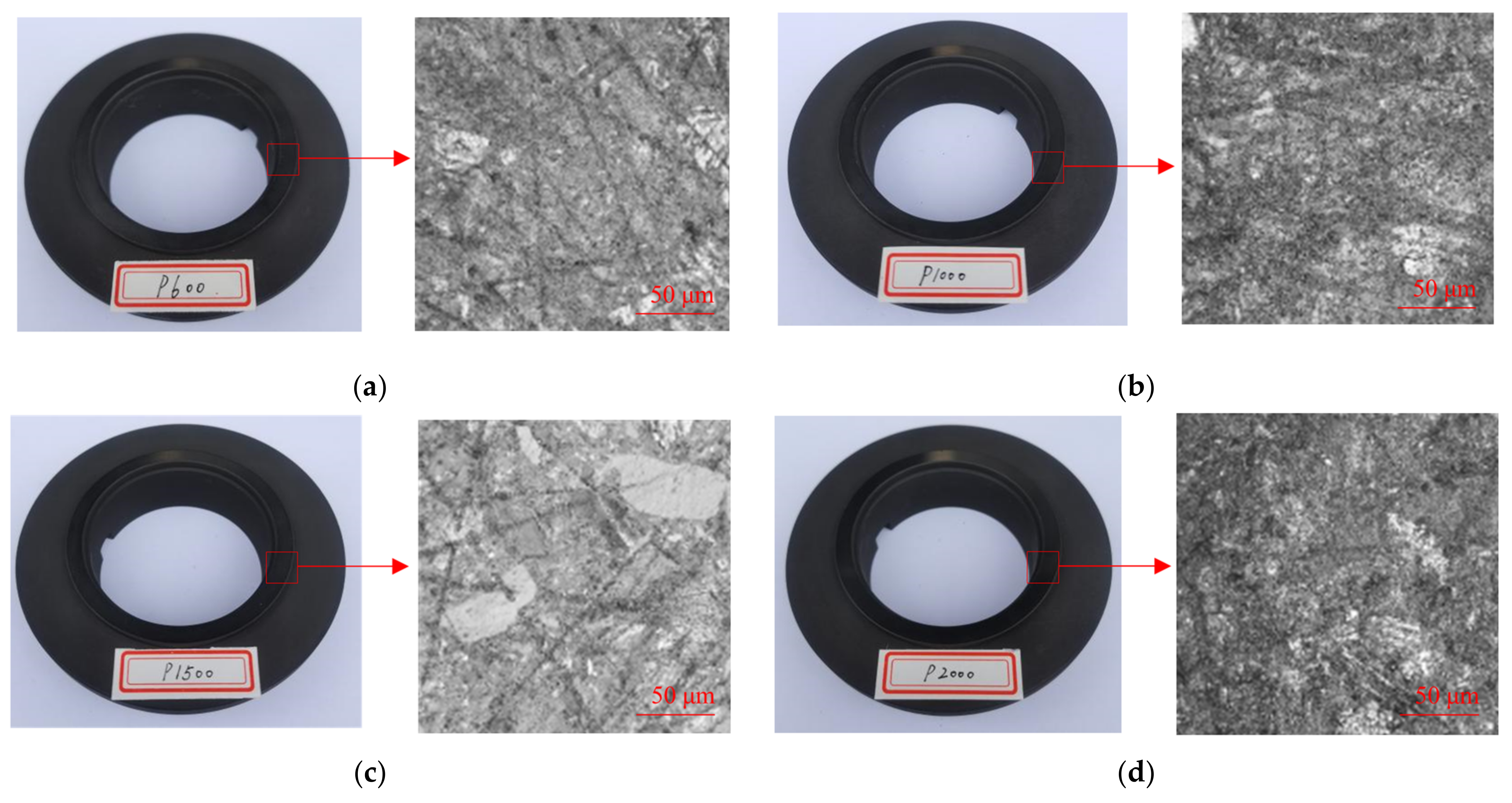 Coatings 13 01435 g012a