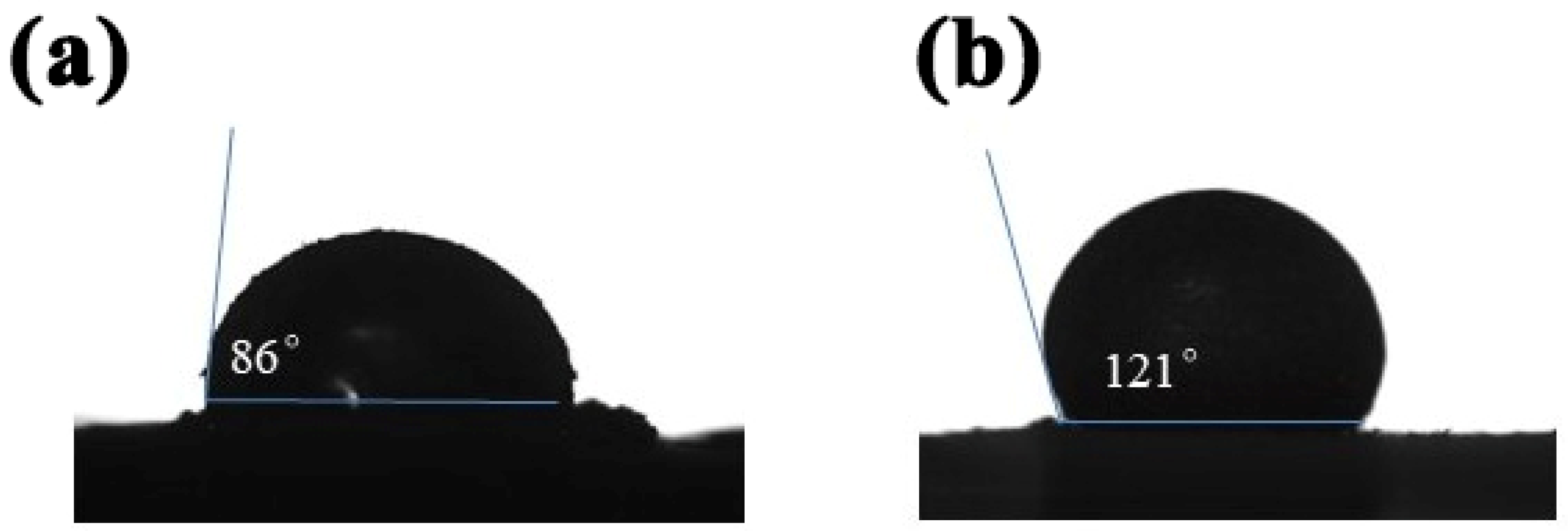 Coatings 13 01437 g004