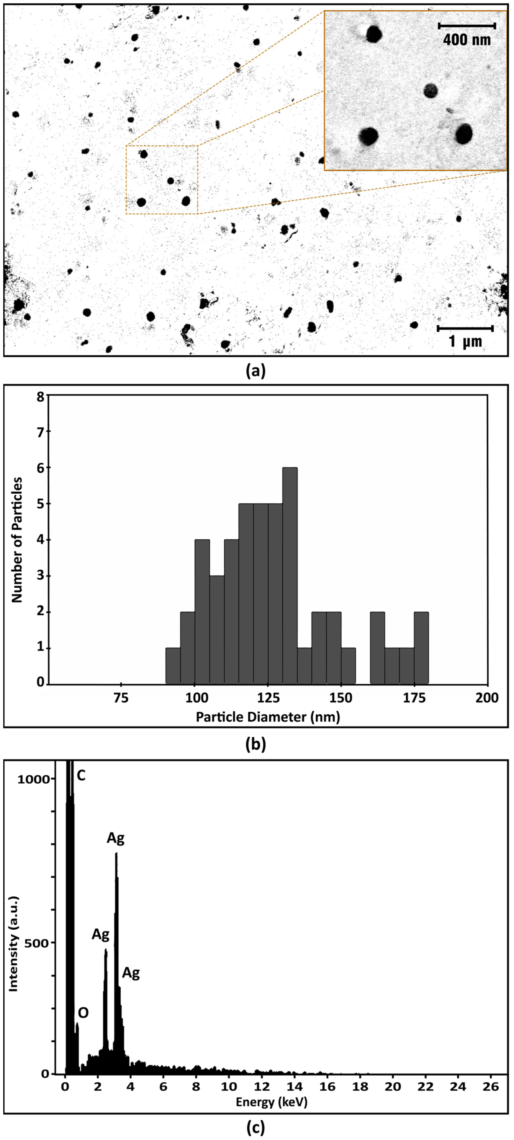 Coatings 13 01439 g008