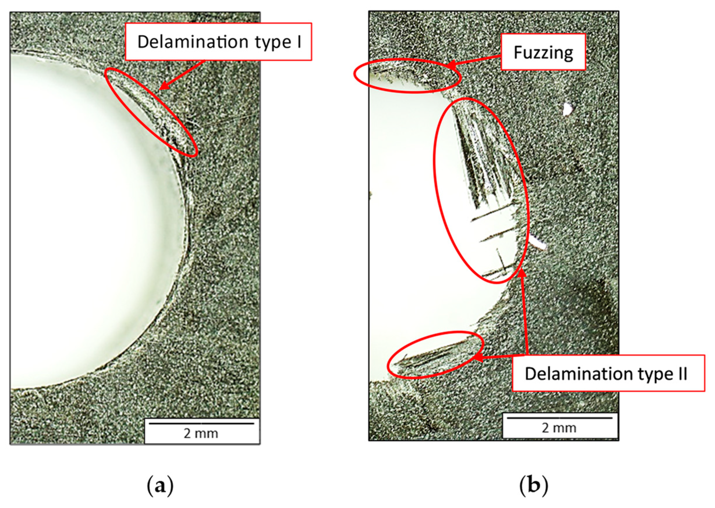 Coatings 13 01440 g013