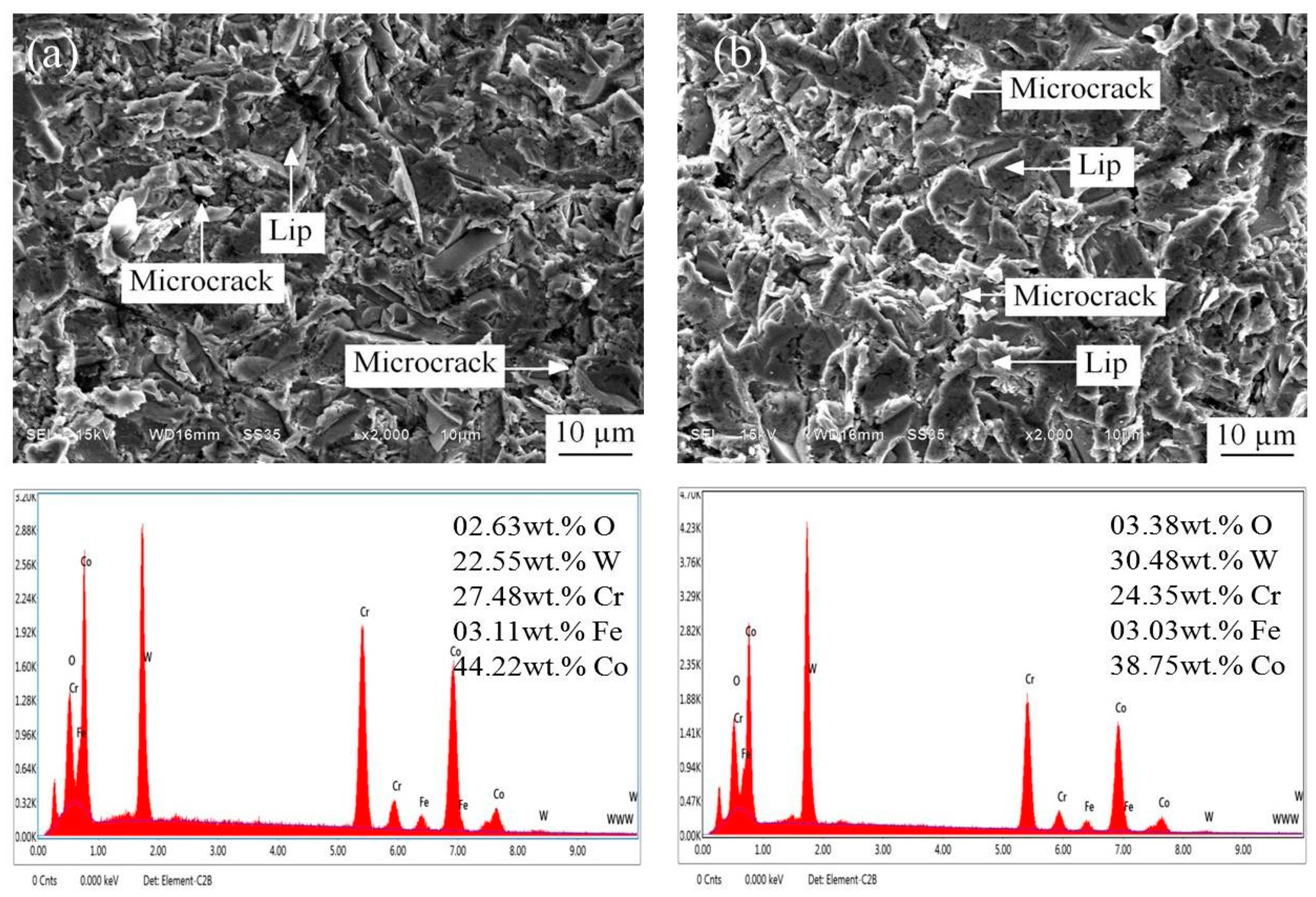 Coatings 13 01444 g007