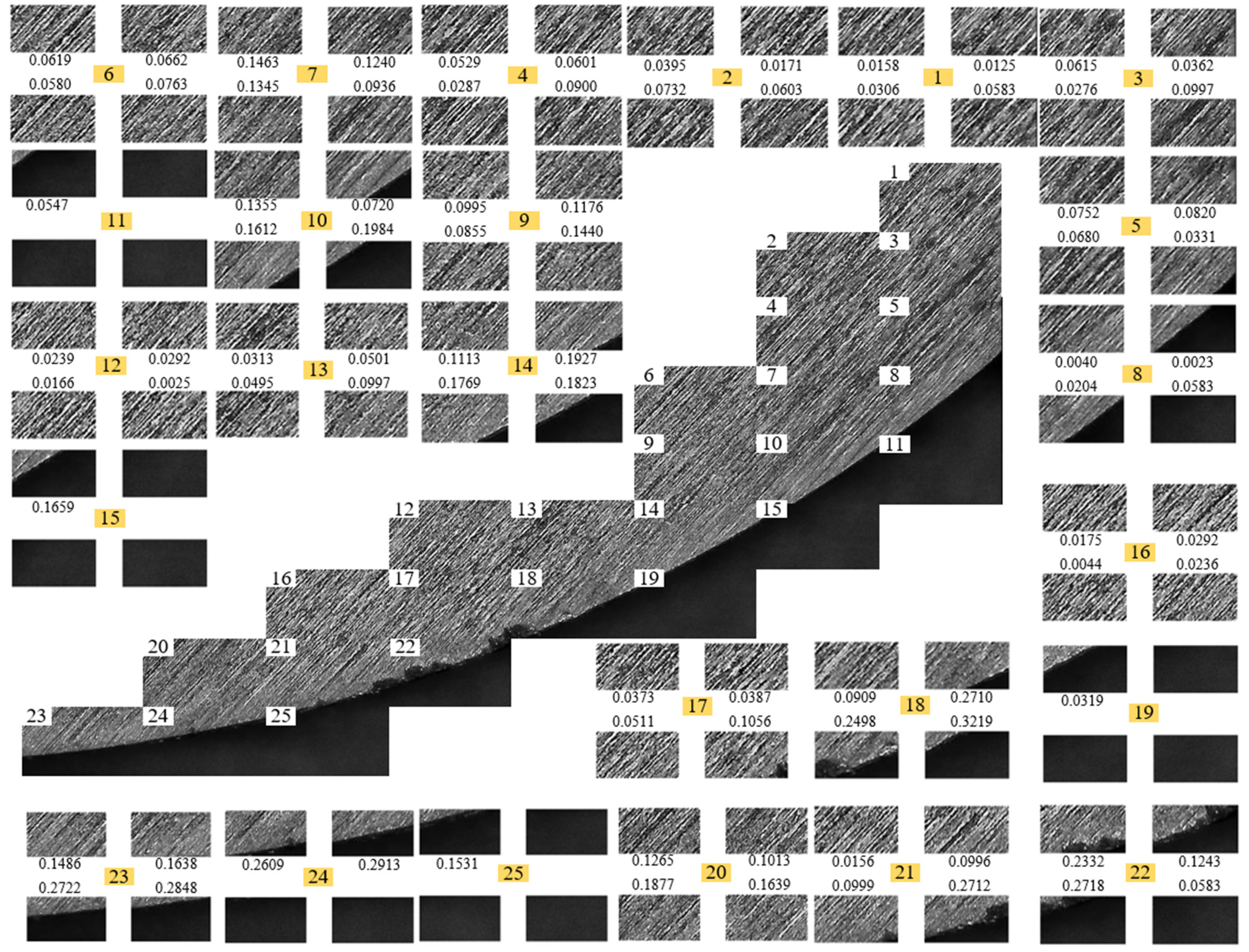 Coatings 13 01446 g006