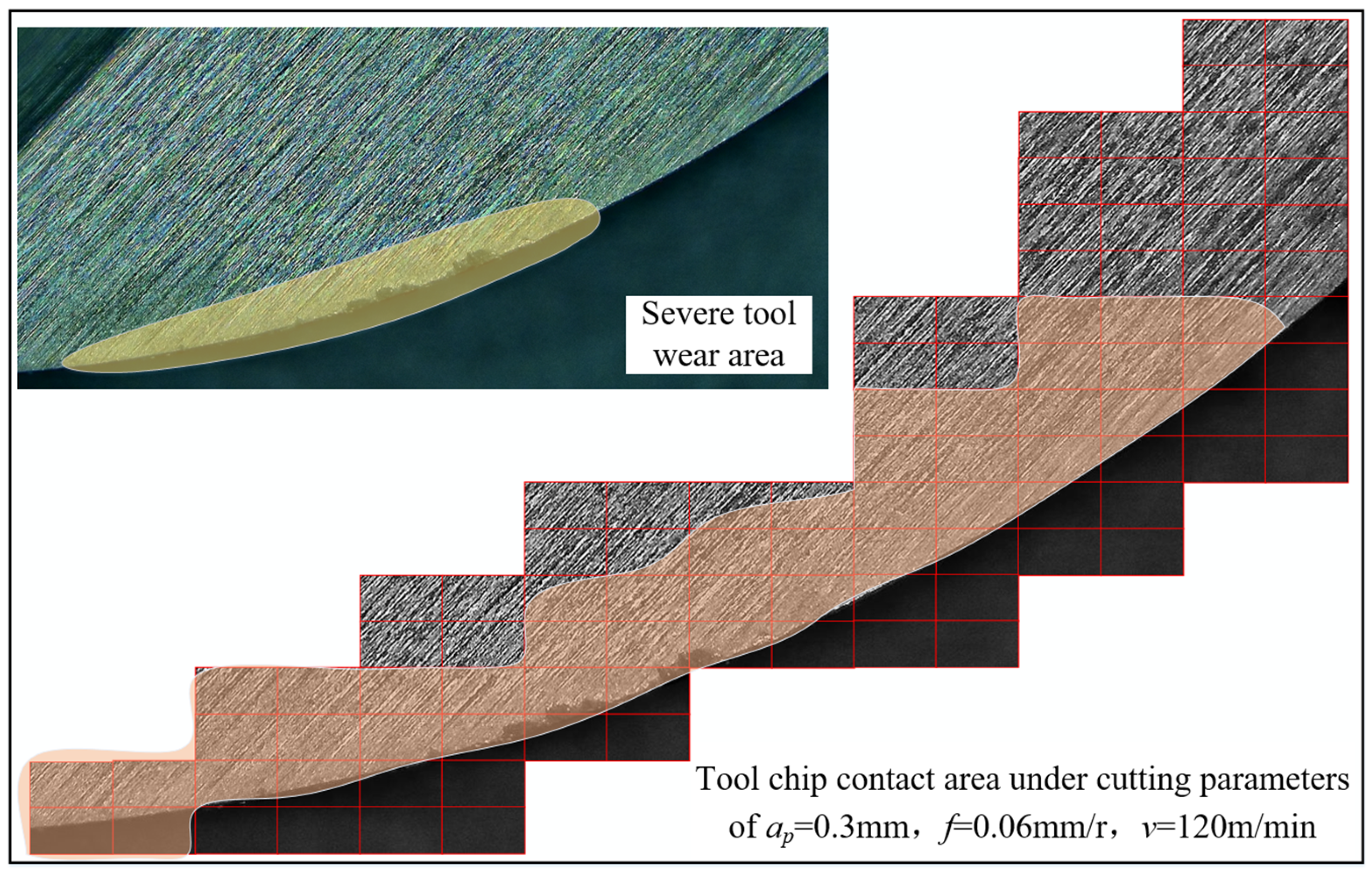 Coatings 13 01446 g007