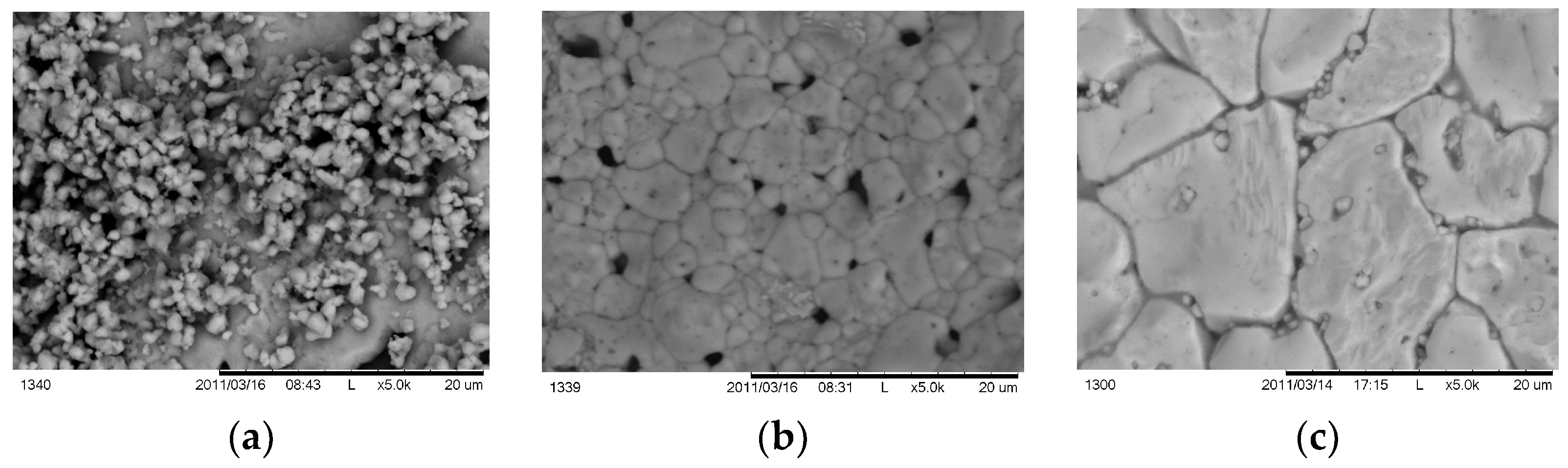 Coatings 13 01449 g011