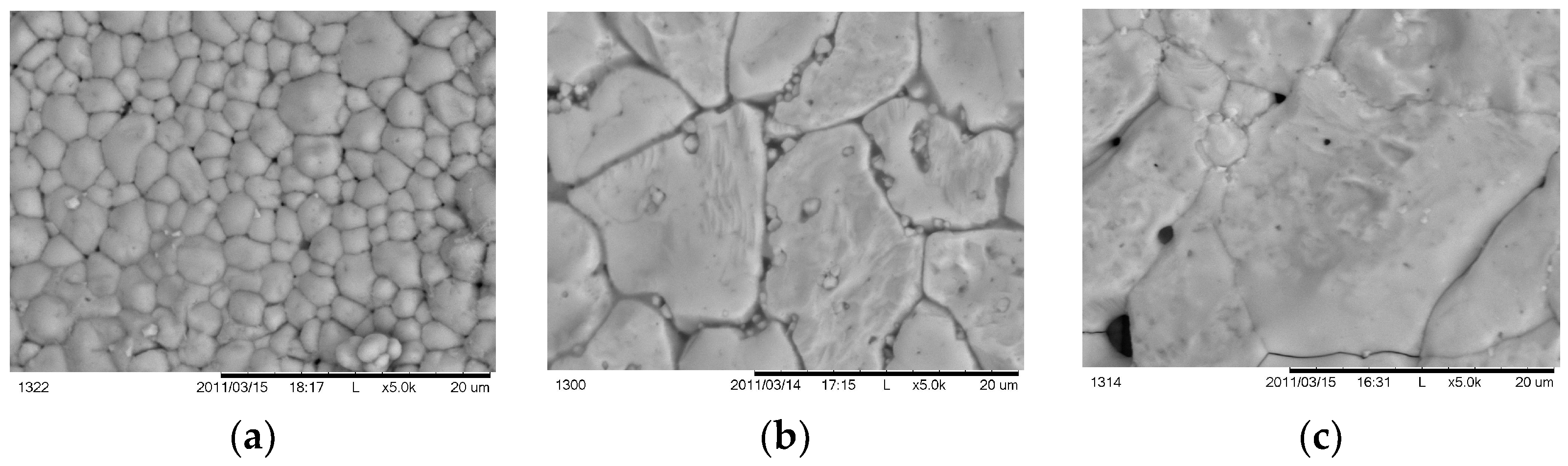 Coatings 13 01449 g012