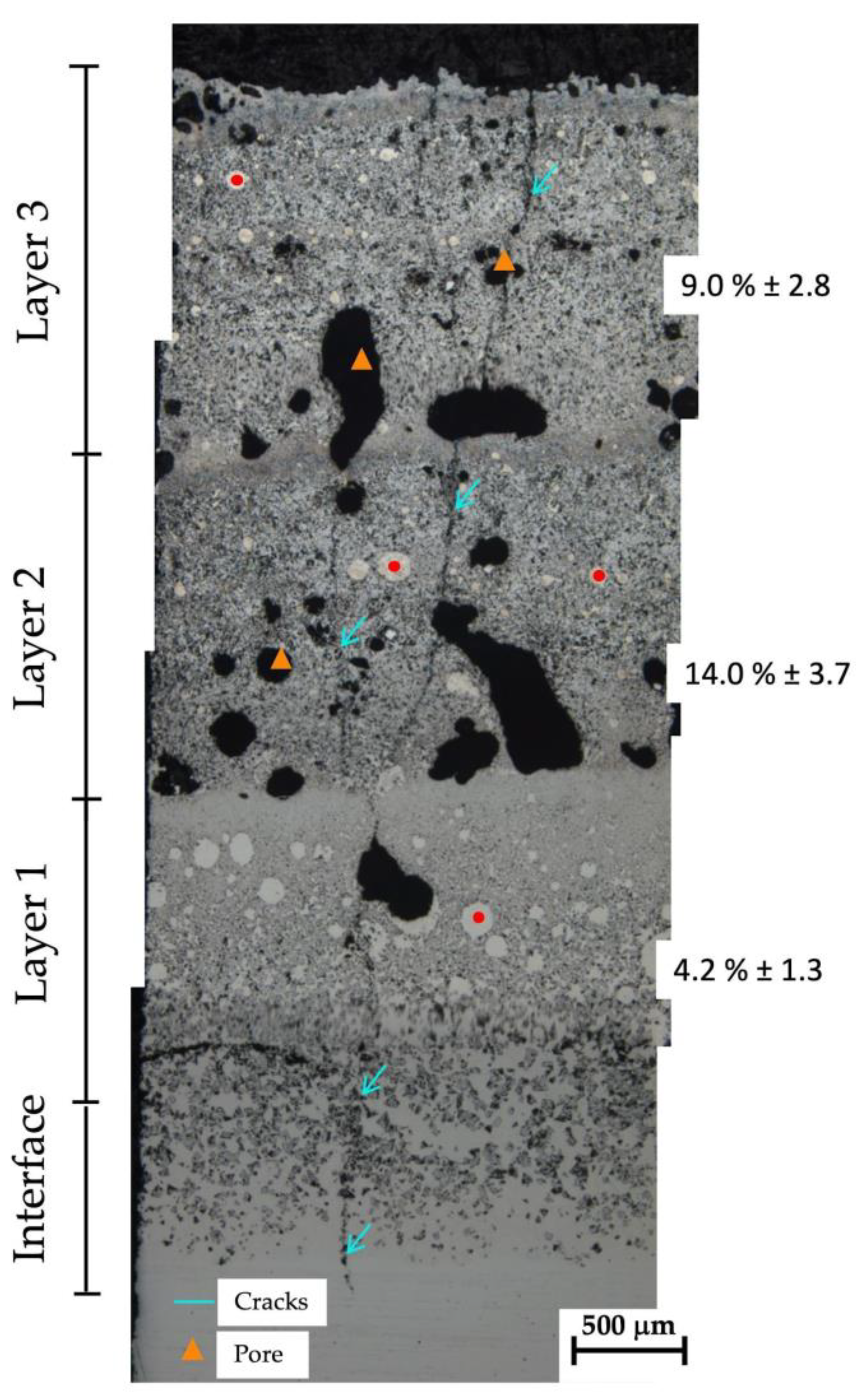 Coatings 13 01459 g003