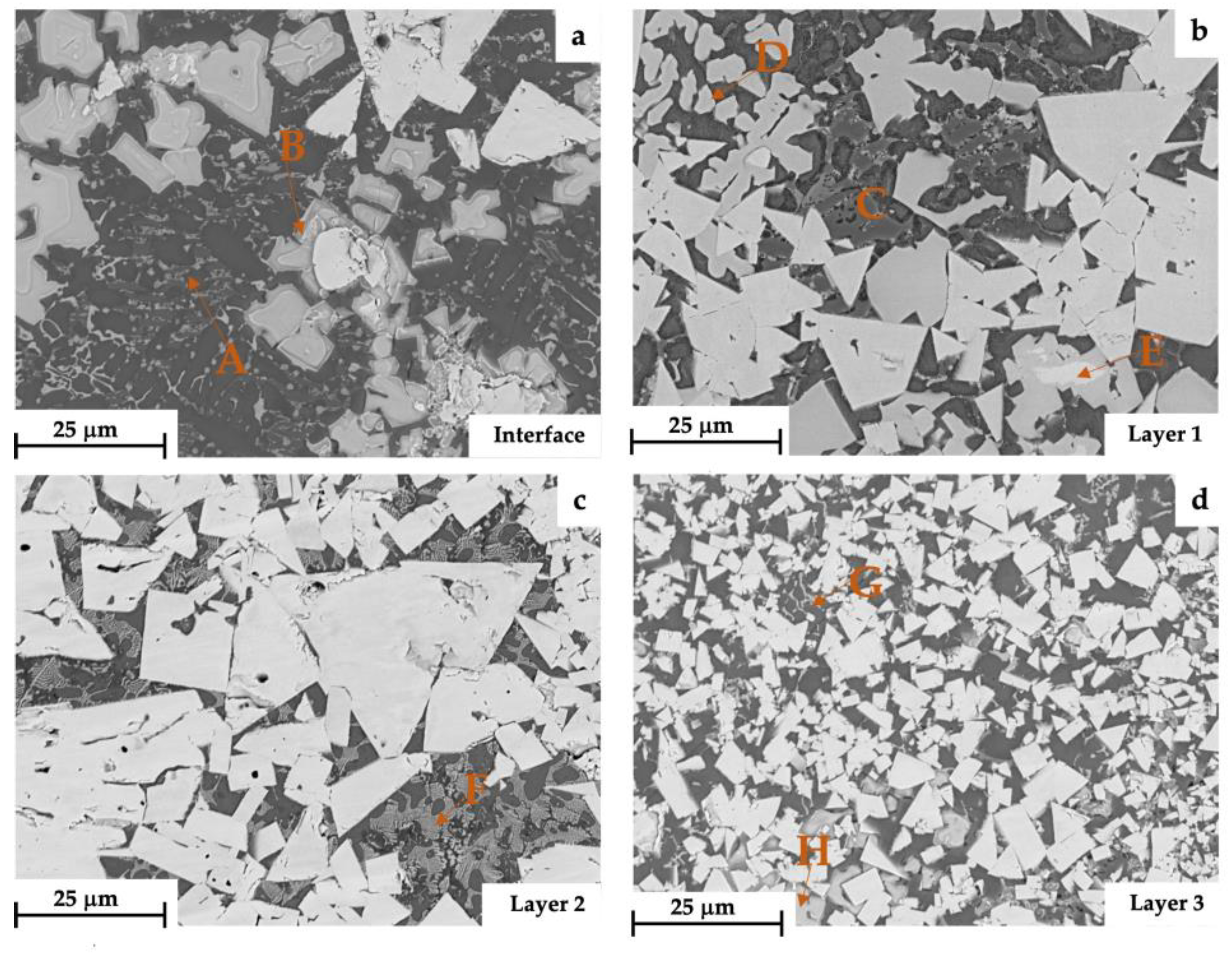 Coatings 13 01459 g006
