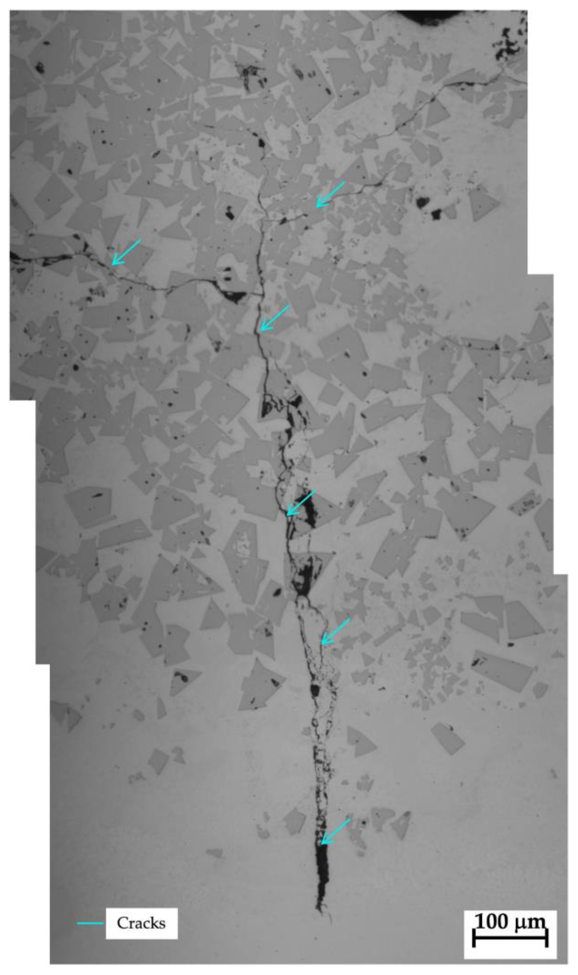 Coatings 13 01459 g011