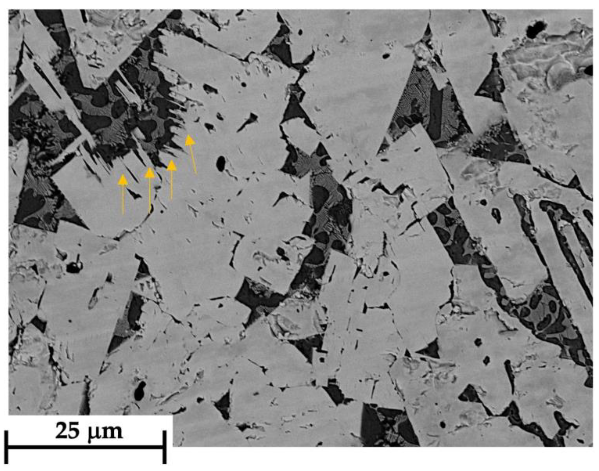 Coatings 13 01459 g015