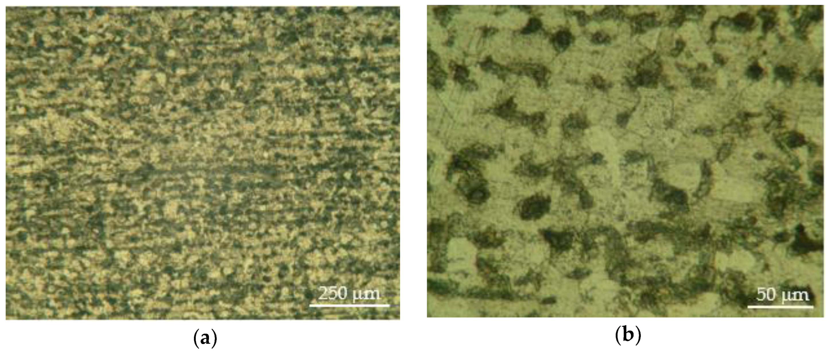 Coatings 13 01460 g001