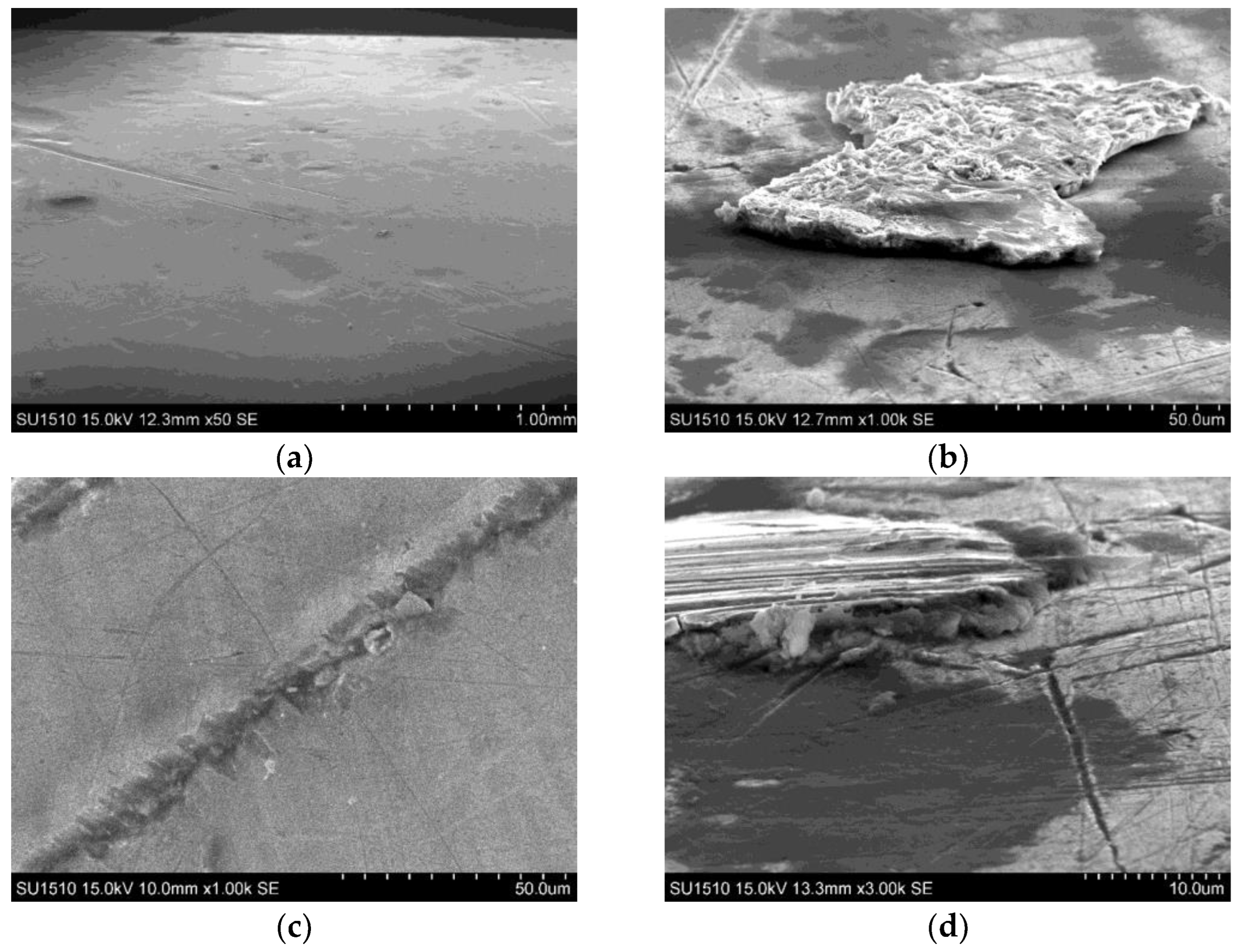 Coatings 13 01460 g003
