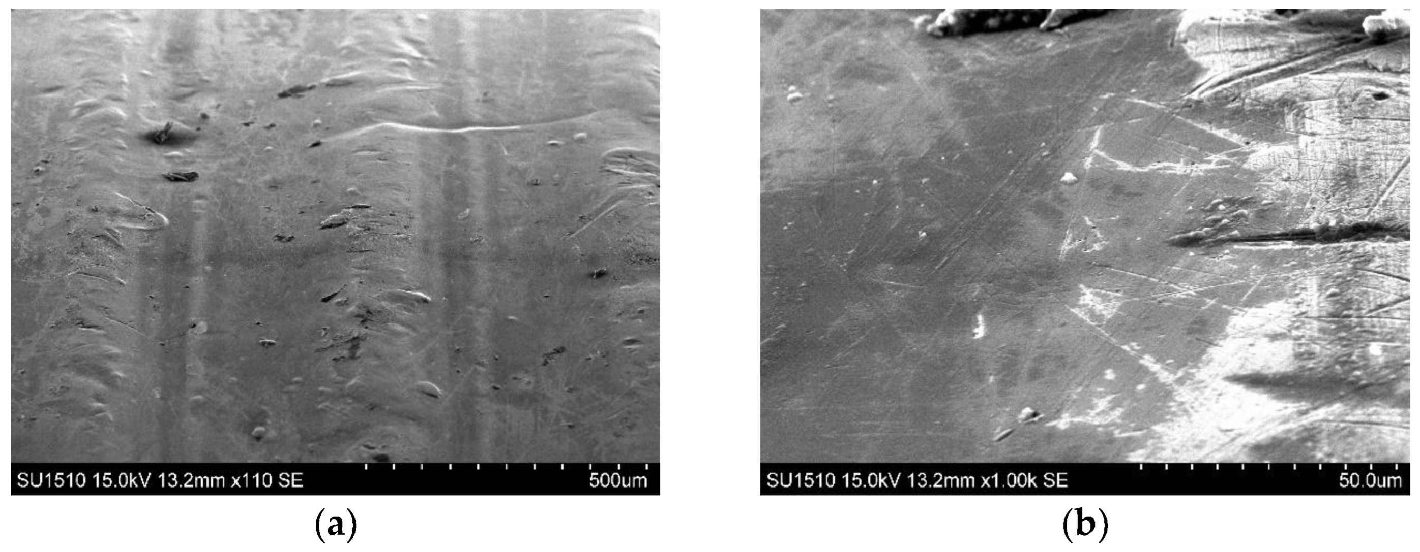 Coatings 13 01460 g005