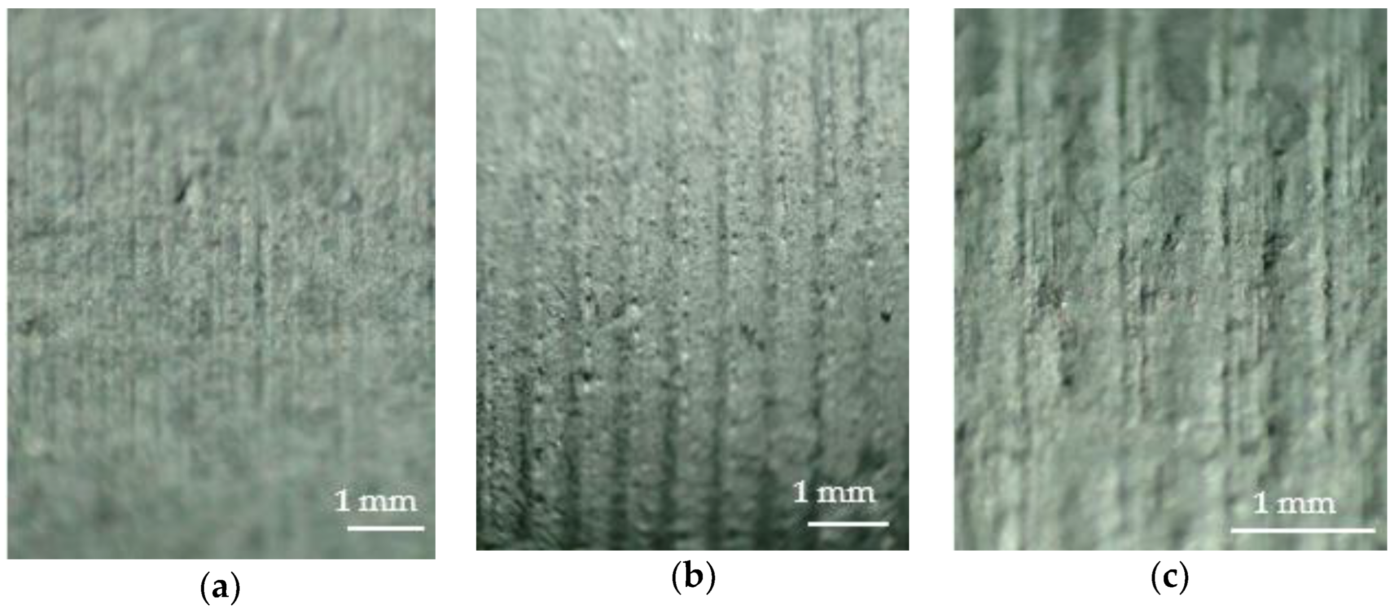 Coatings 13 01460 g010