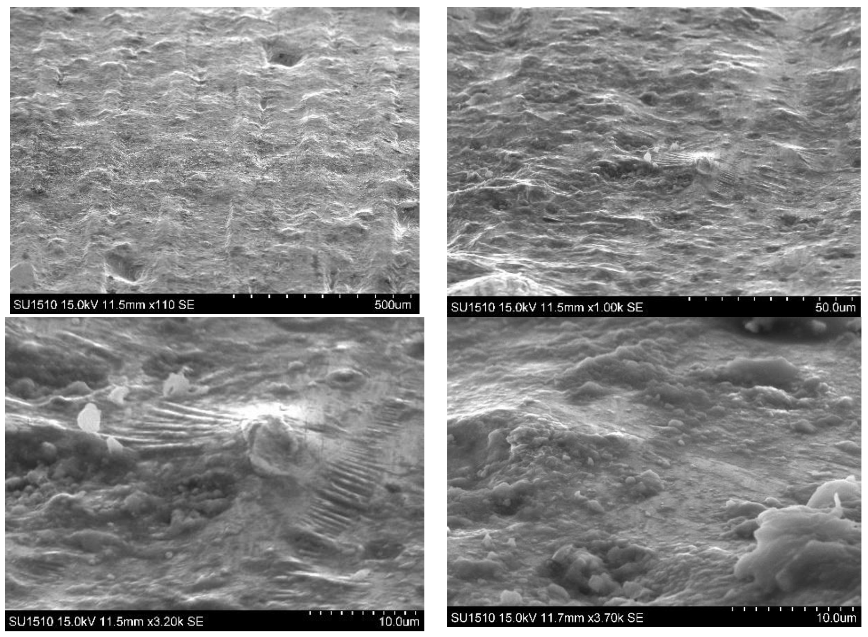 Coatings 13 01460 g011