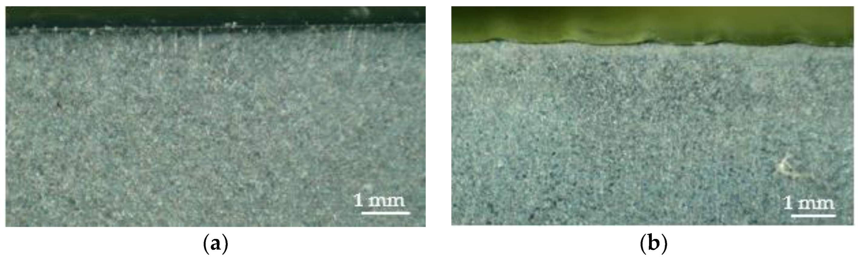 Coatings 13 01460 g017