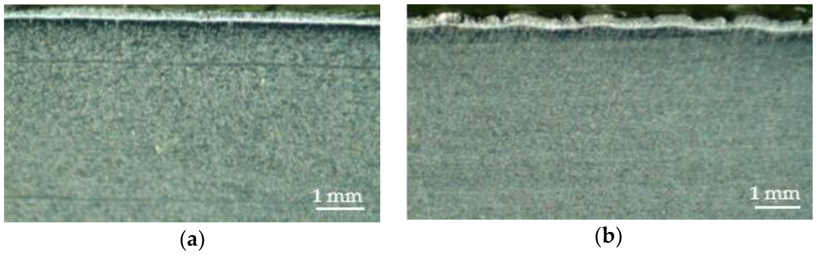 Coatings 13 01460 g019