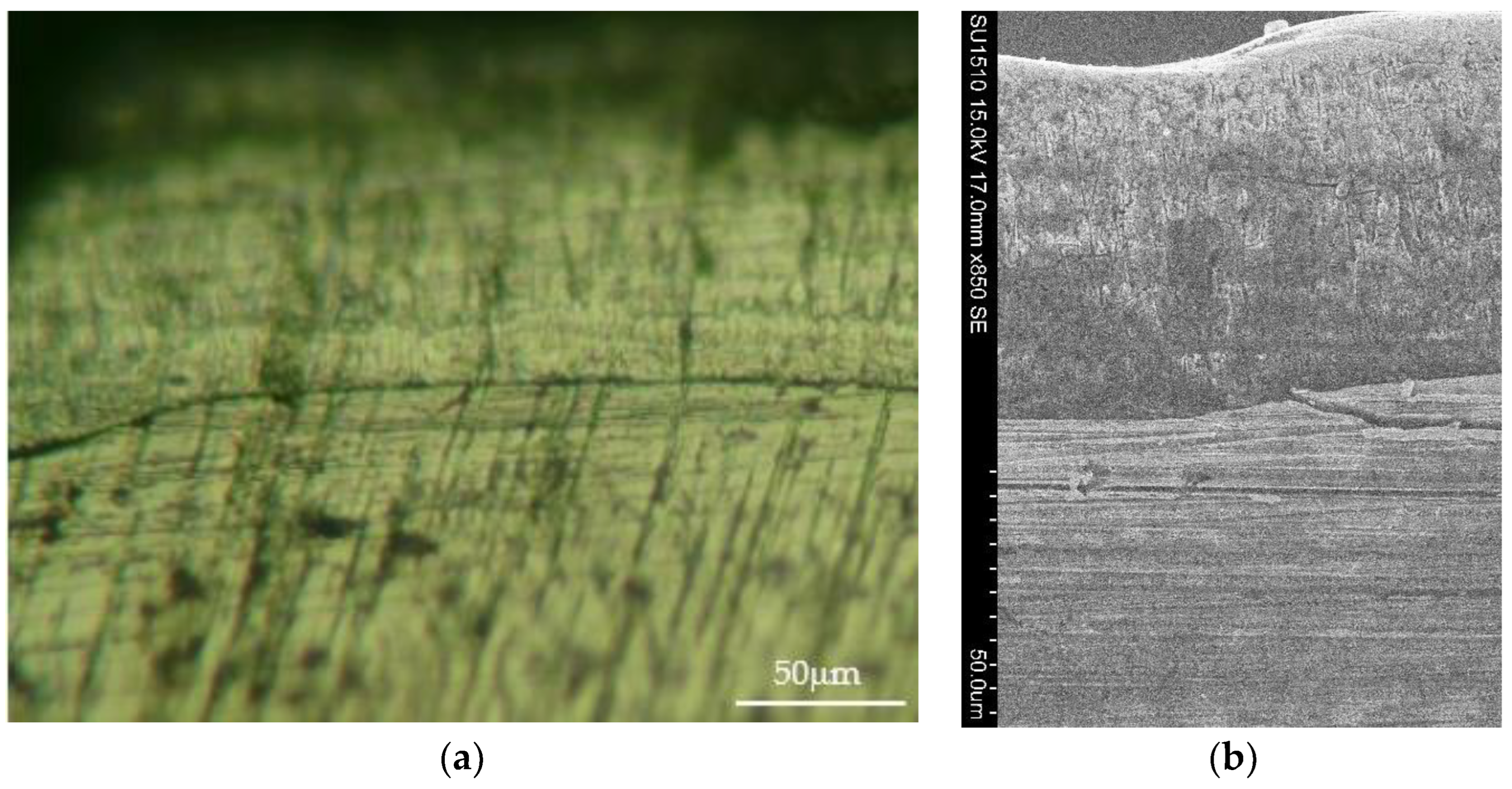 Coatings 13 01460 g020