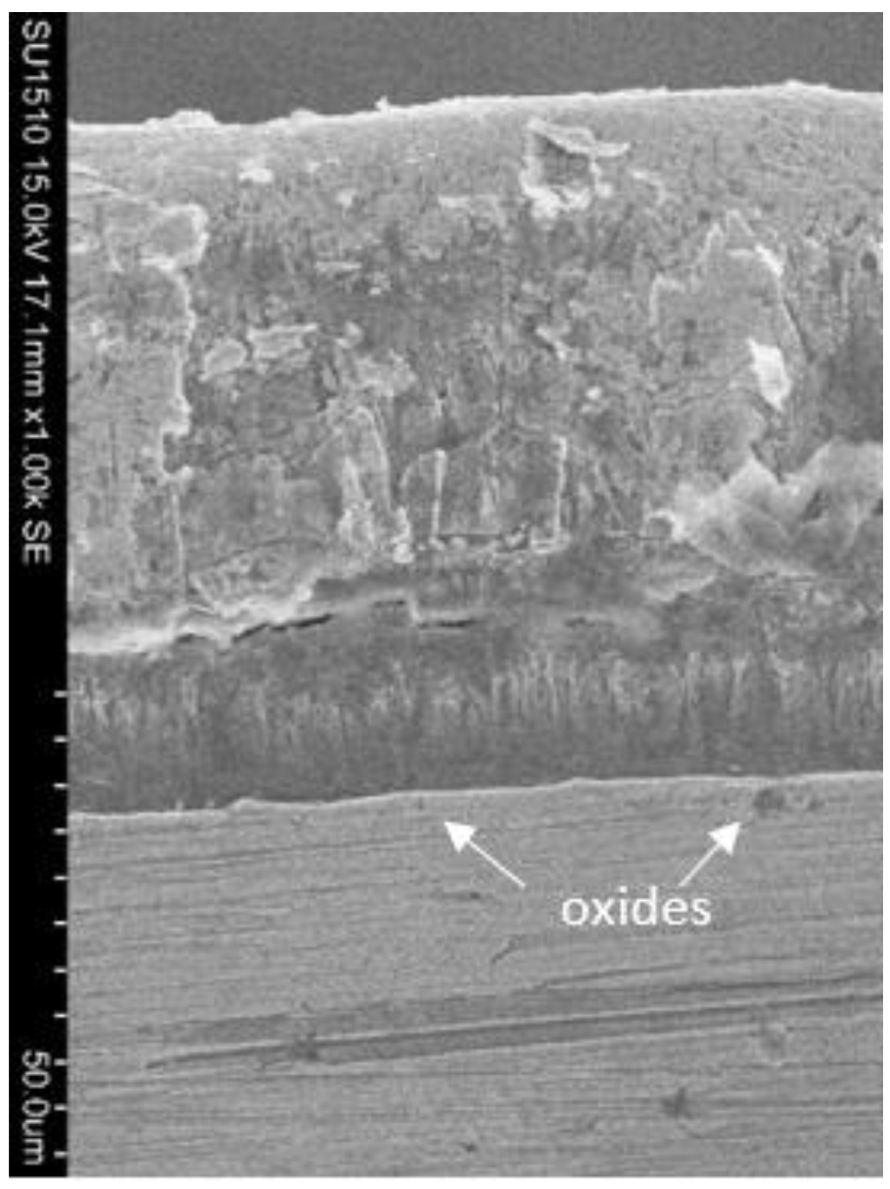 Coatings 13 01460 g023