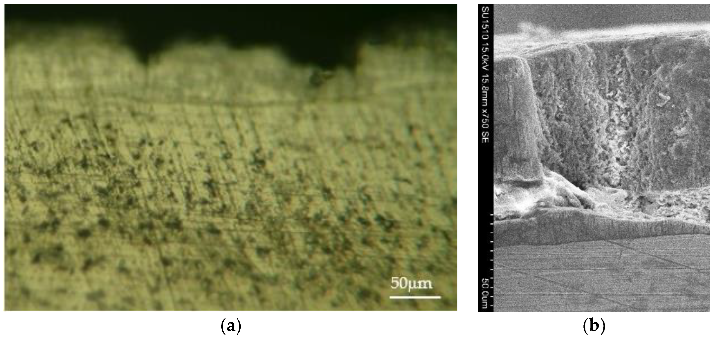 Coatings 13 01460 g024