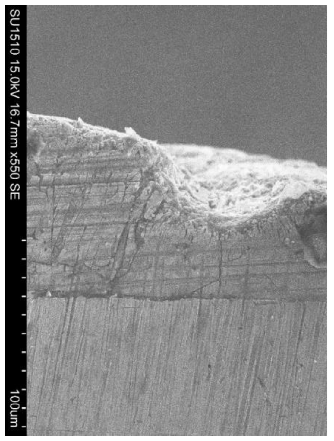 Coatings 13 01460 g025