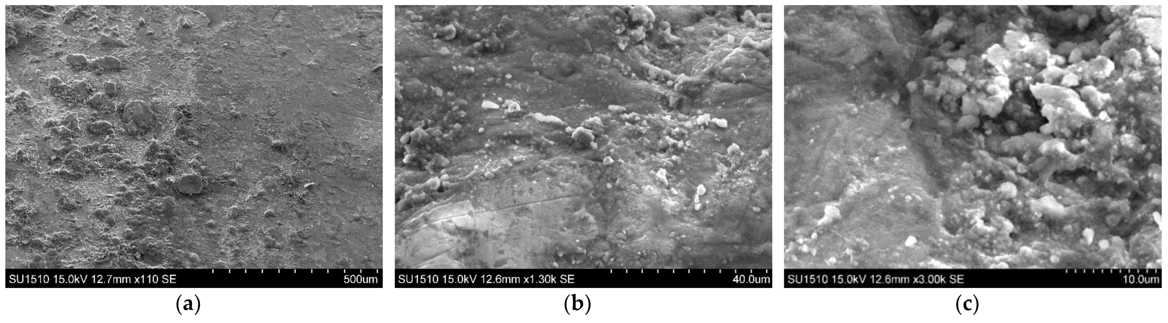 Coatings 13 01460 g026