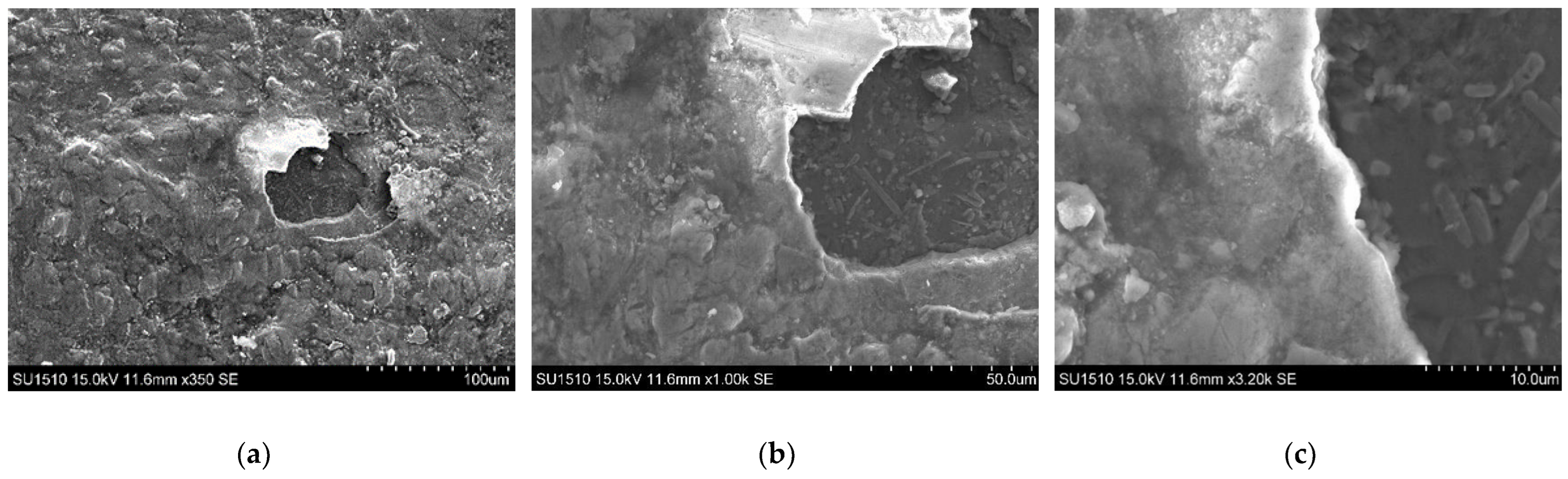 Coatings 13 01460 g030