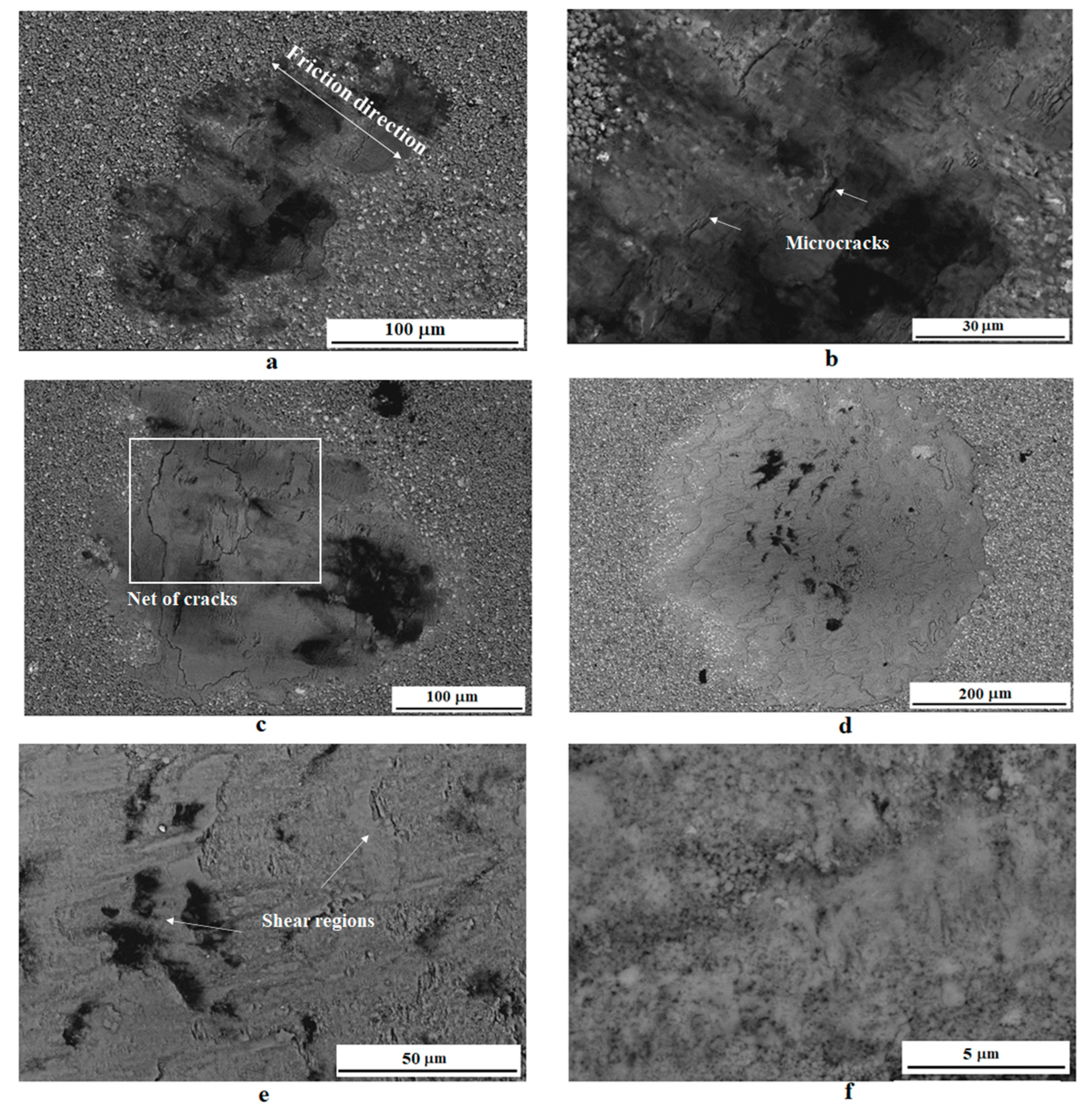 Coatings 13 01463 g012