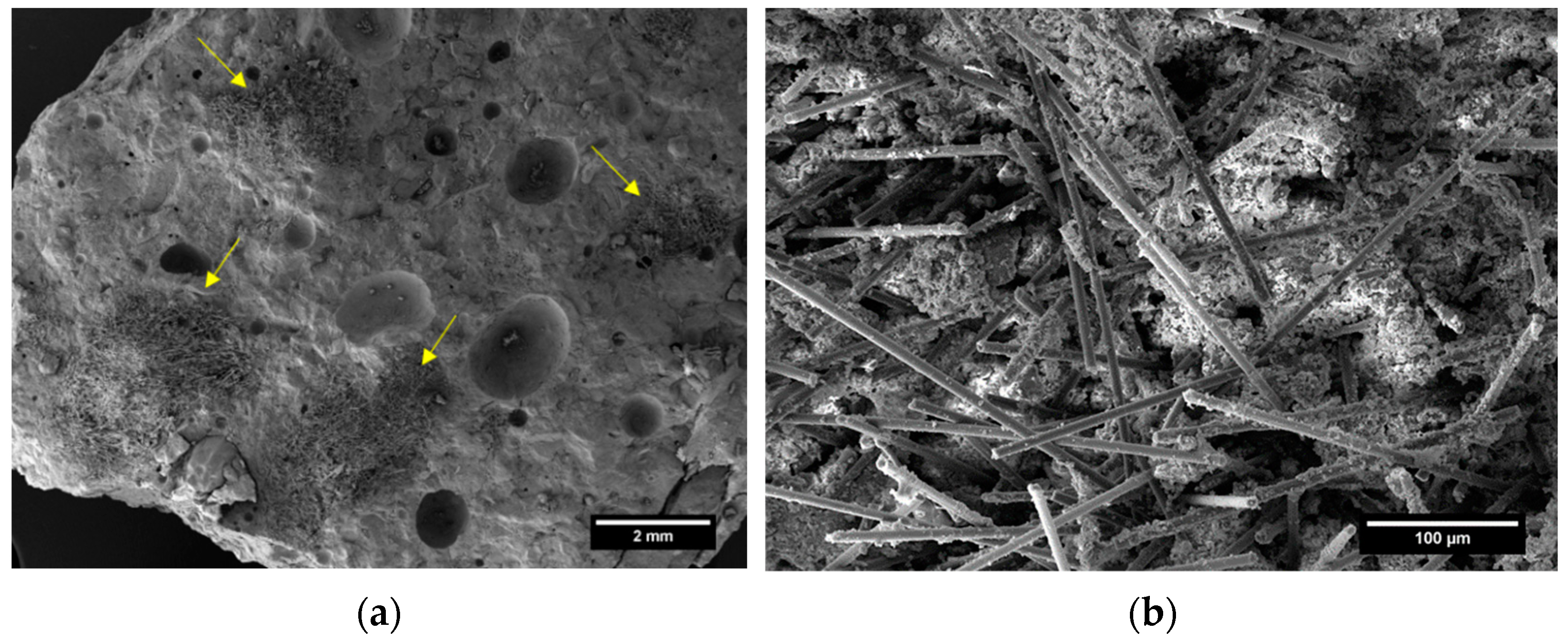 Coatings 13 01466 g019 Coatings 13 01466 g019