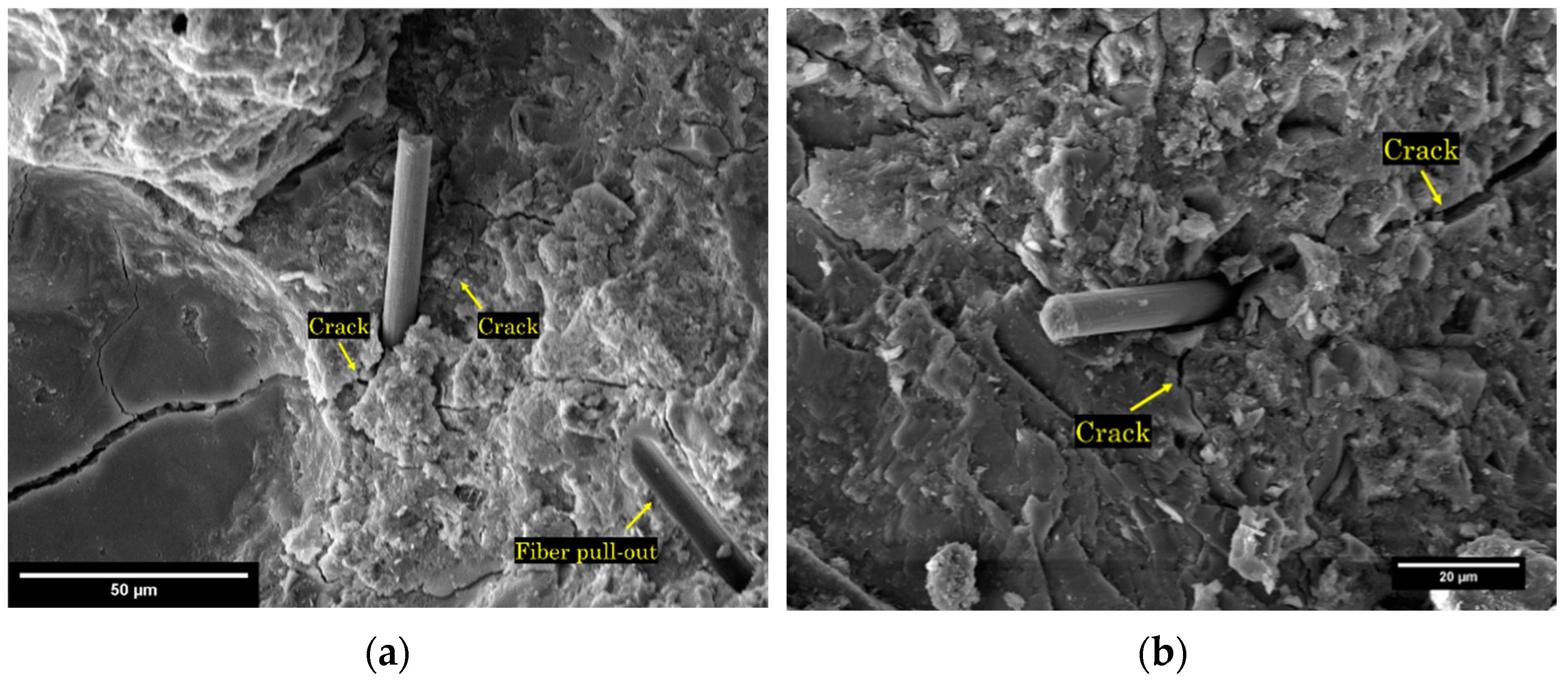 Coatings 13 01466 g022 Coatings 13 01466 g022