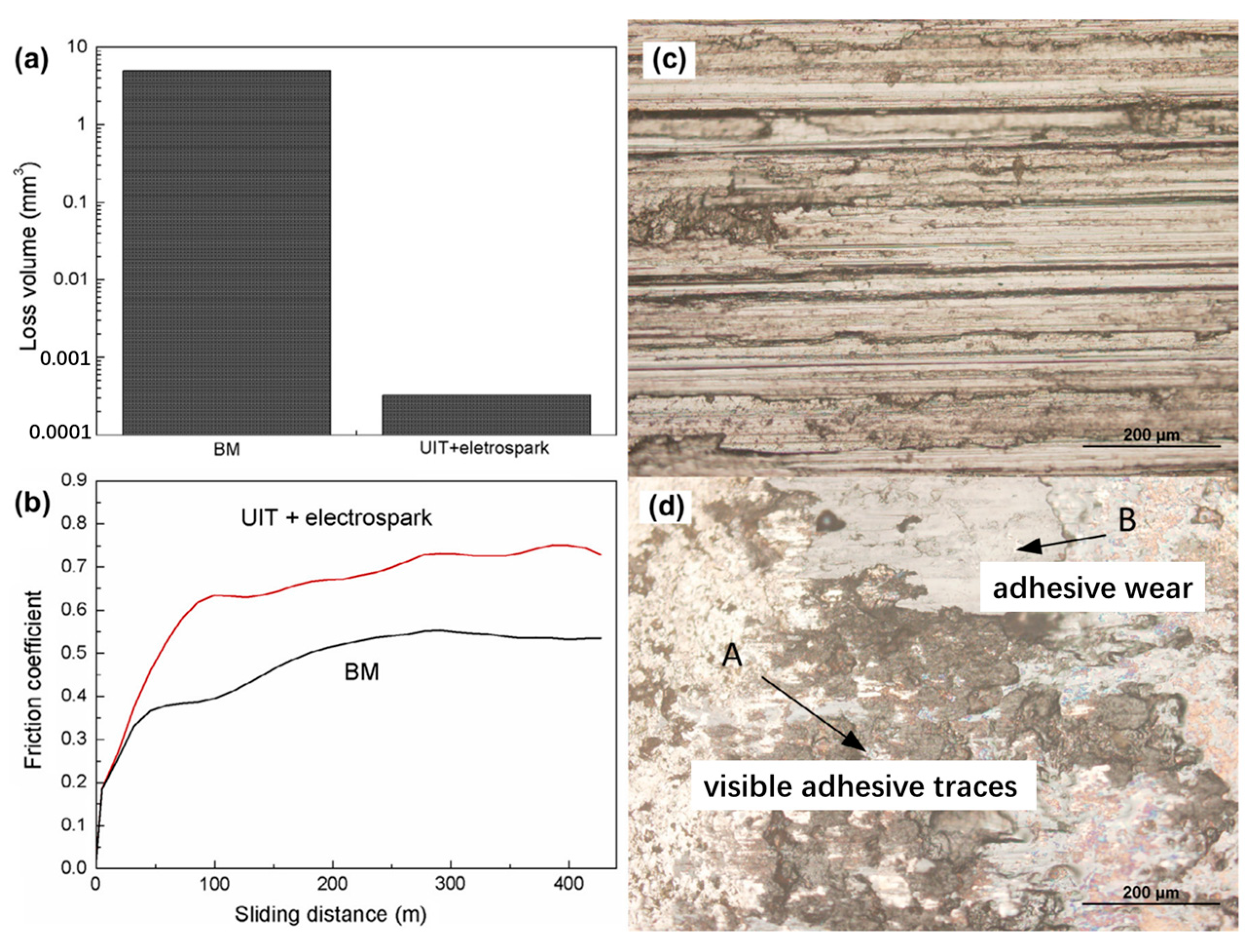 Coatings 13 01473 g008