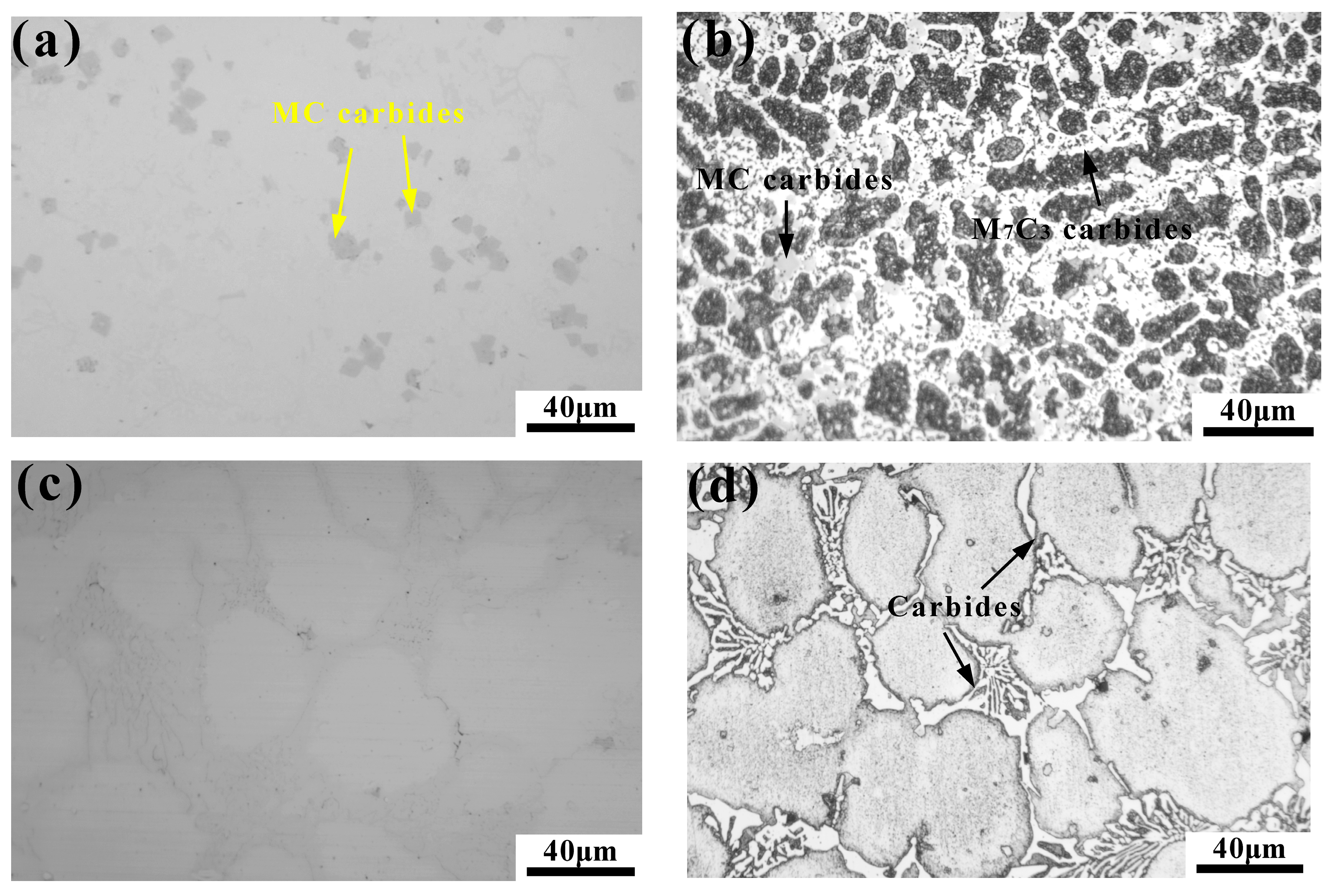 Coatings 13 01474 g002