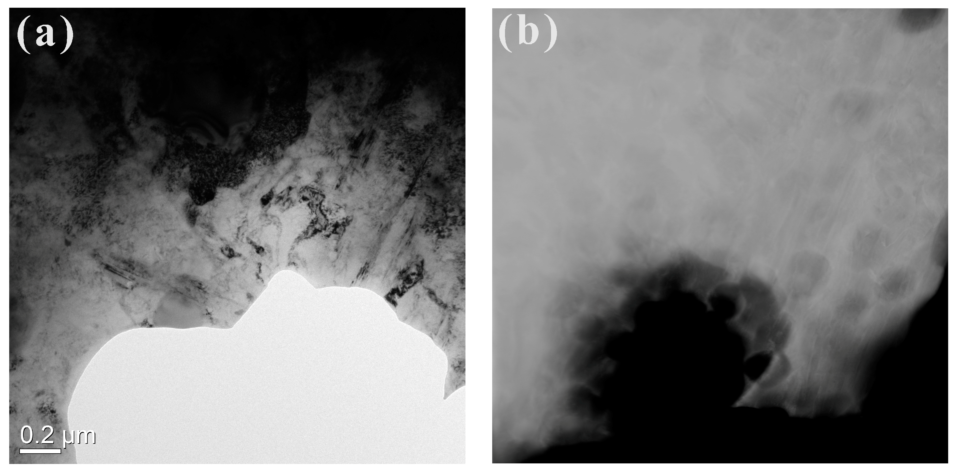 Coatings 13 01474 g010a