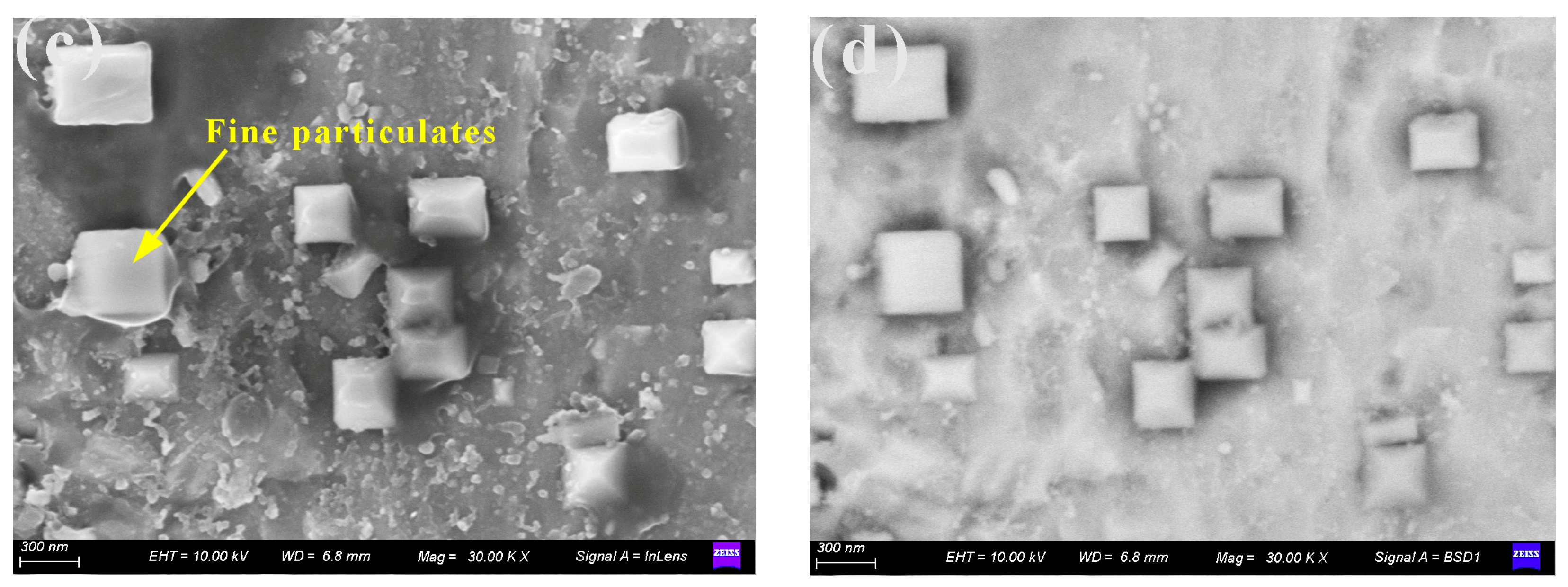 Coatings 13 01474 g011b